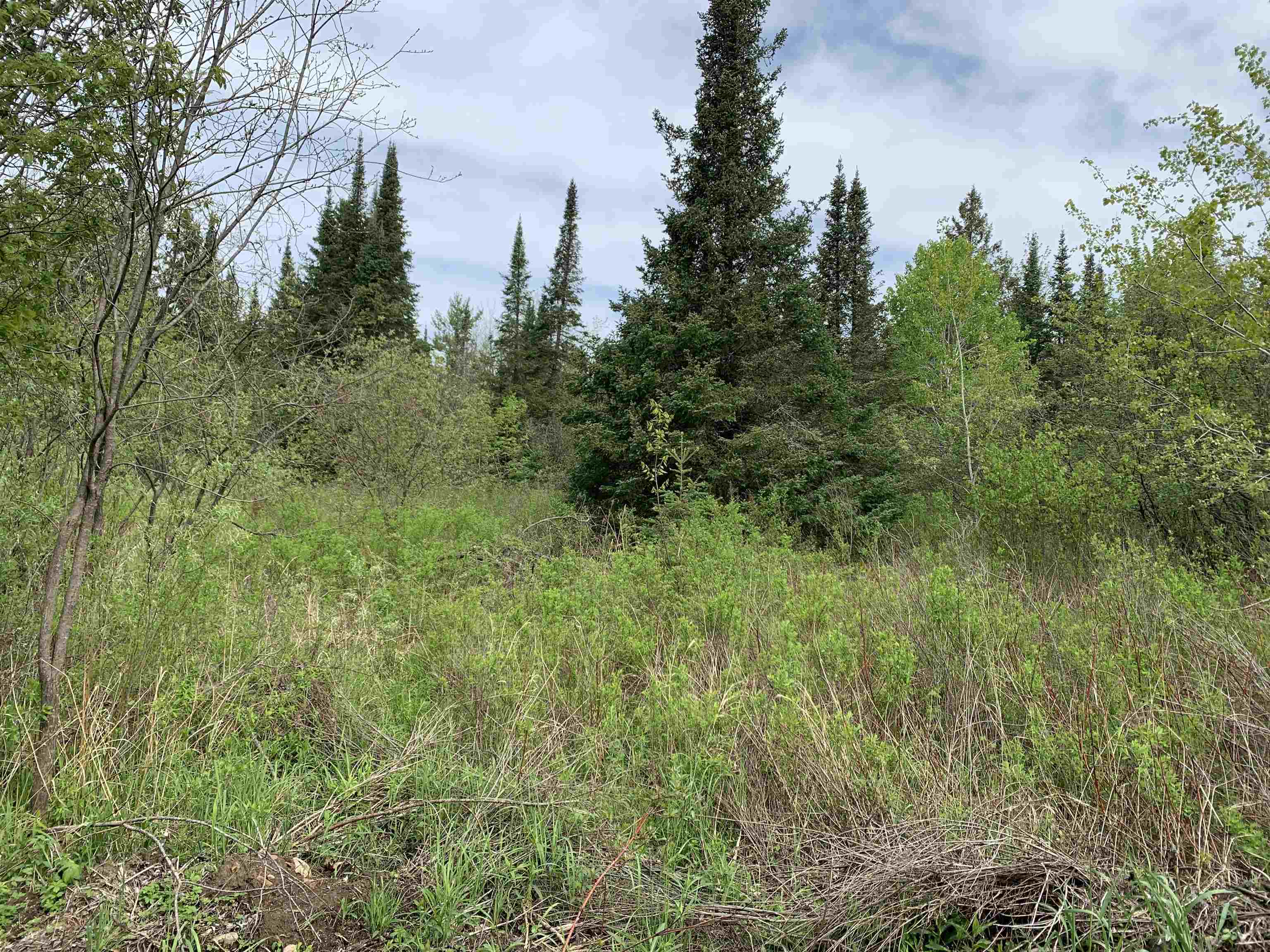 STADIUM ROAD, Brantwood, Wisconsin 54513, ,Land,For Sale,STADIUM ROAD,22401553