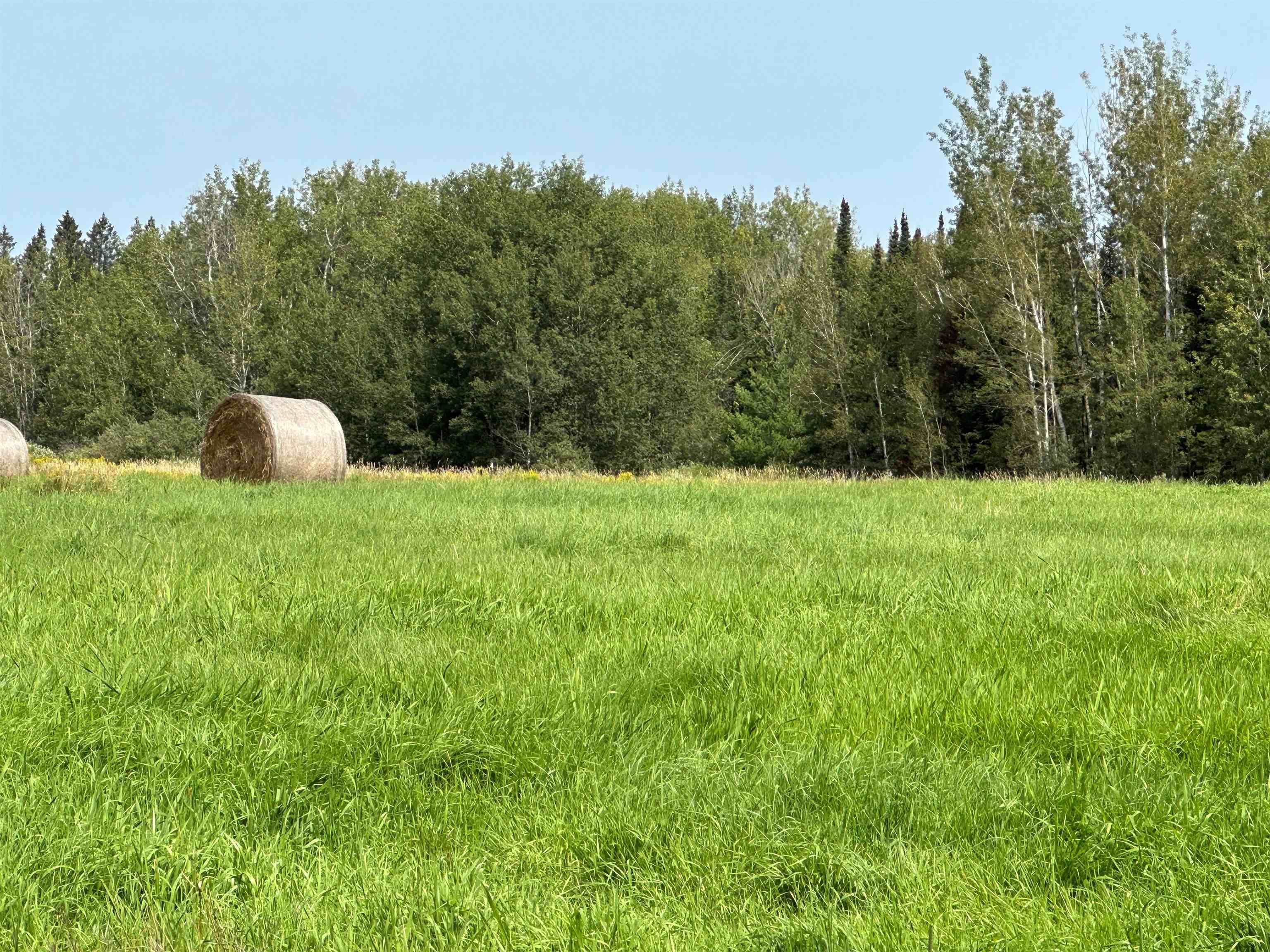 STADIUM ROAD, Brantwood, Wisconsin 54513, ,Land,For Sale,STADIUM ROAD,22401553