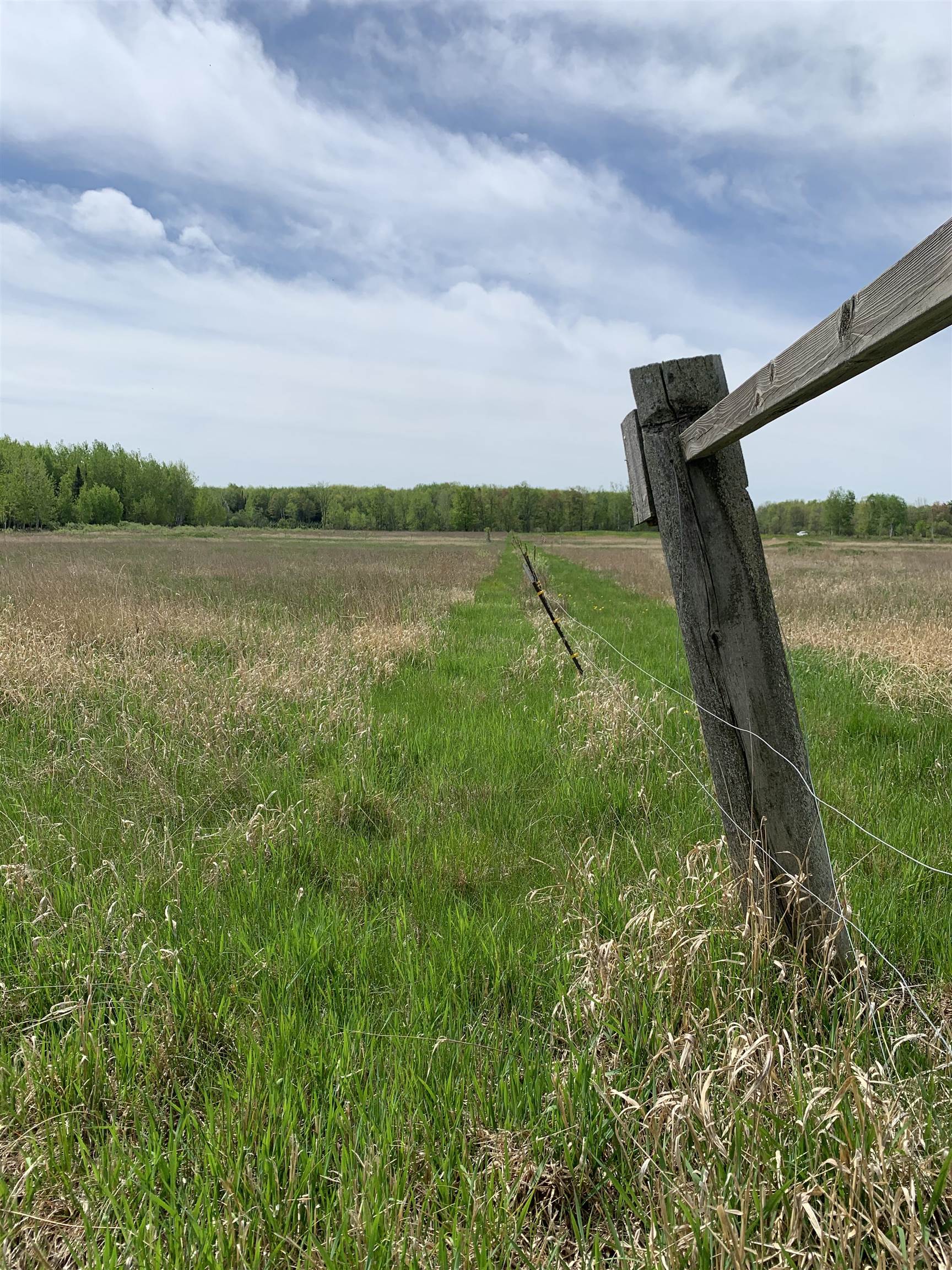 STADIUM ROAD, Brantwood, Wisconsin 54513, ,Land,For Sale,STADIUM ROAD,22401553