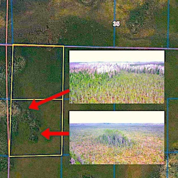 NO NAME ROAD, Phillips, Wisconsin 54555, ,Land,For Sale,NO NAME ROAD,22401702