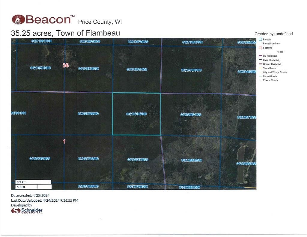 NO NAME ROAD, Phillips, Wisconsin 54555, ,Land,For Sale,NO NAME ROAD,22401702