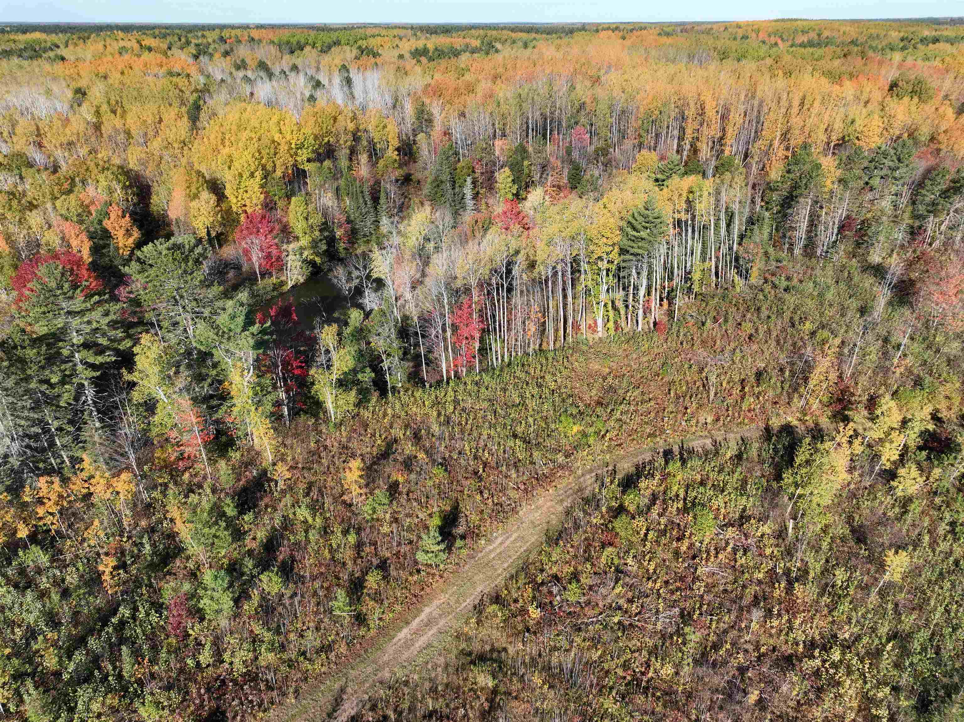 Near ROCKY RUN ROAD, Harshaw, Wisconsin 54529, ,Land,For Sale,Near ROCKY RUN ROAD,22401917