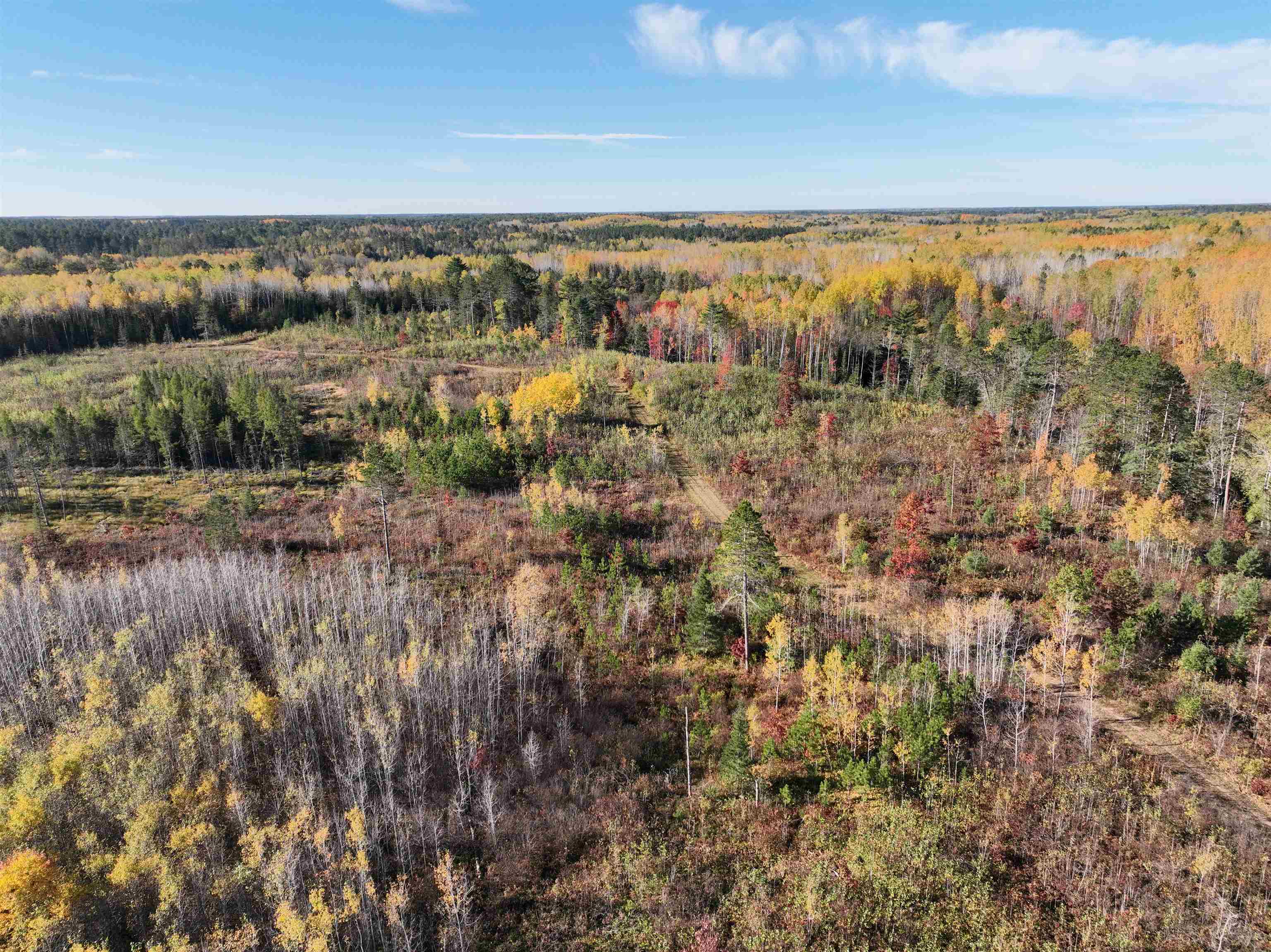 Near ROCKY RUN ROAD, Harshaw, Wisconsin 54529, ,Land,For Sale,Near ROCKY RUN ROAD,22401917