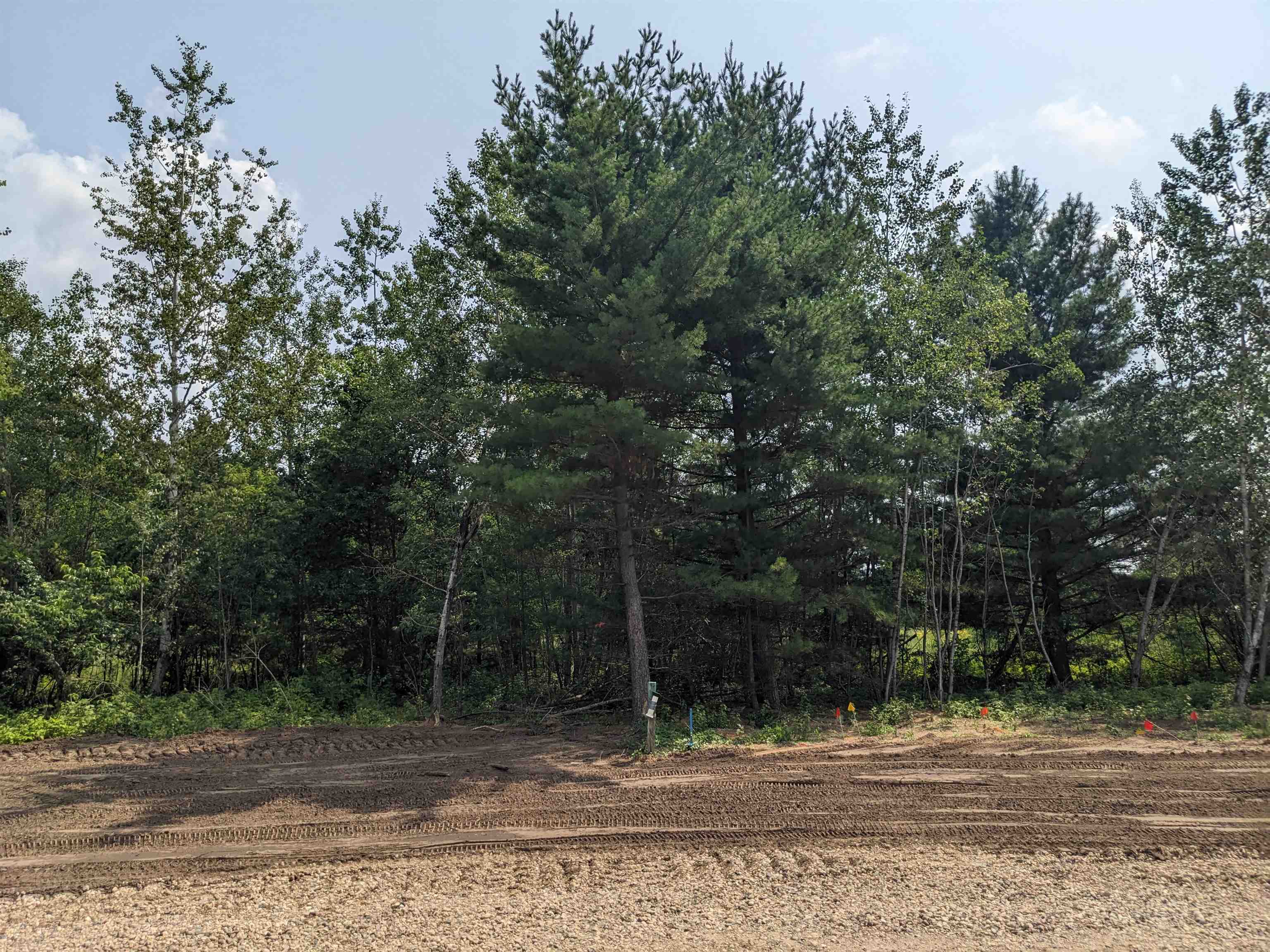 755 Torrey Pines Court, Plover, Wisconsin 54467, ,Land,For Sale,755 Torrey Pines Court,22403123