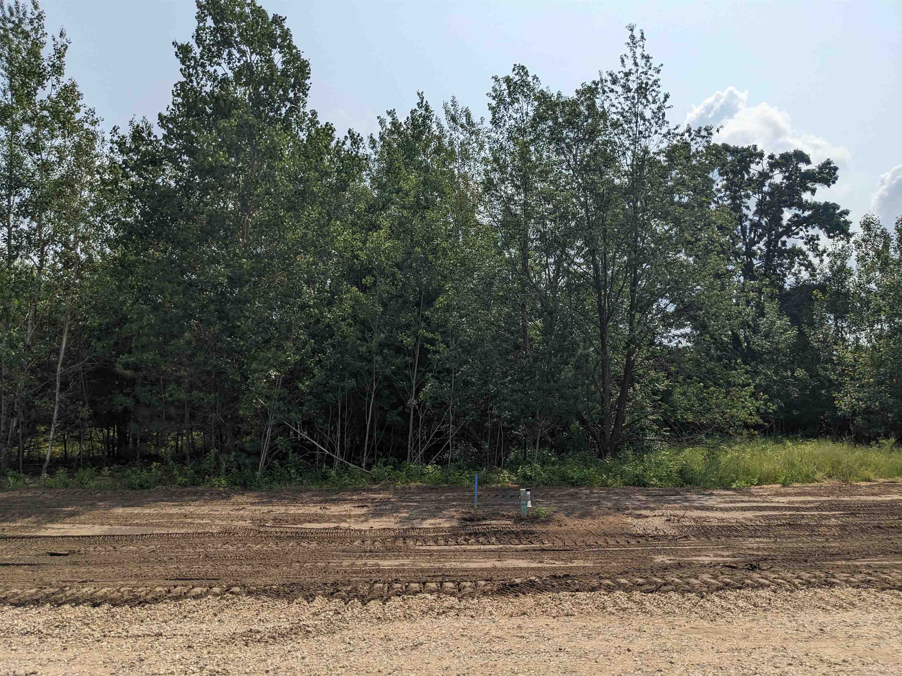 775 Torrey Pines Court, Plover, Wisconsin 54467, ,Land,For Sale,775 Torrey Pines Court,22403126