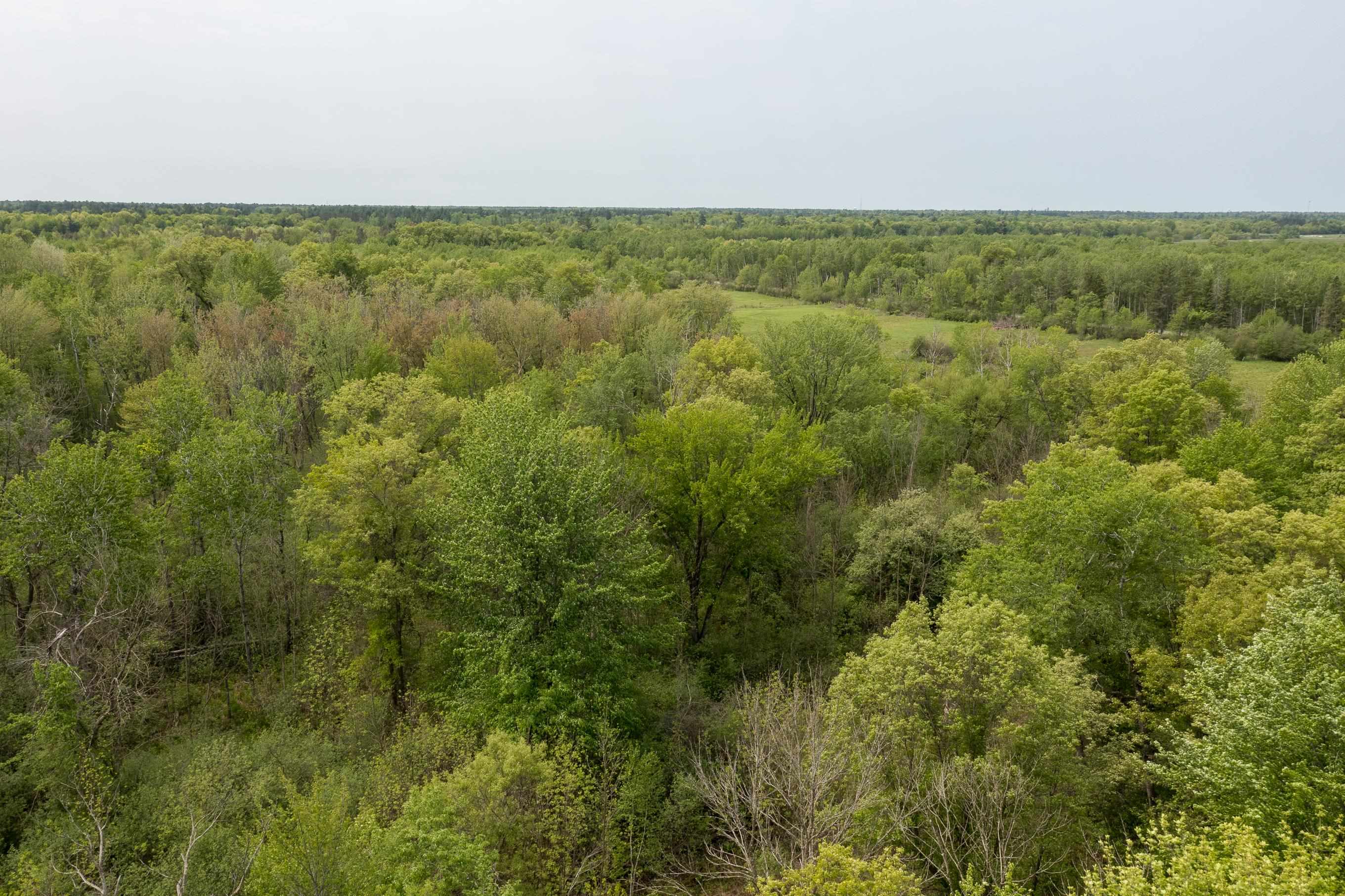Lot 1 80TH STREET NORTH, Wisconsin Rapids, Wisconsin 54494, ,Land,For Sale,Lot 1 80TH STREET NORTH,22403303