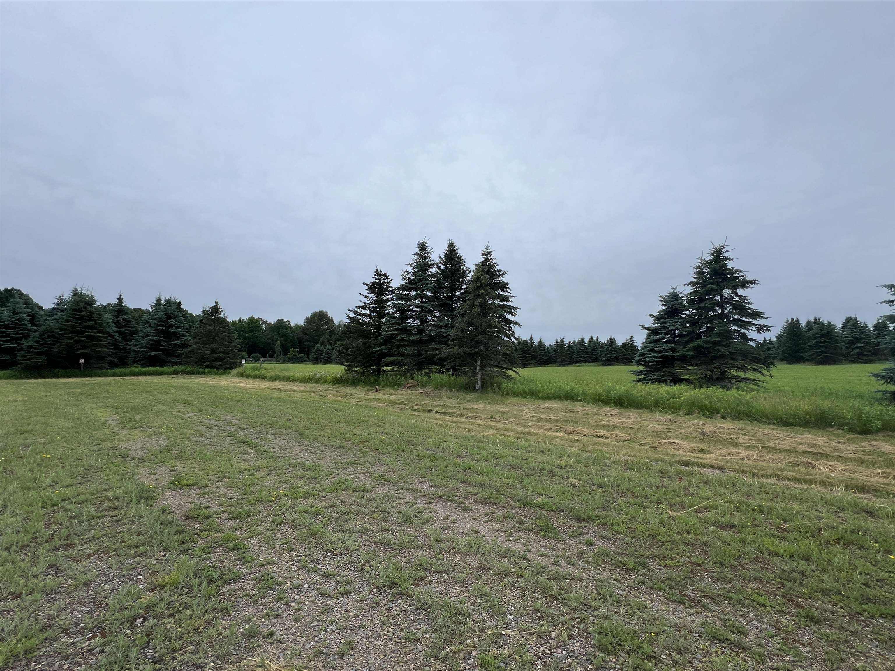 Lot 8 SUE ALAN DRIVE, Wittenberg, Wisconsin 54499, ,Land,For Sale,Lot 8 SUE ALAN DRIVE,22403730