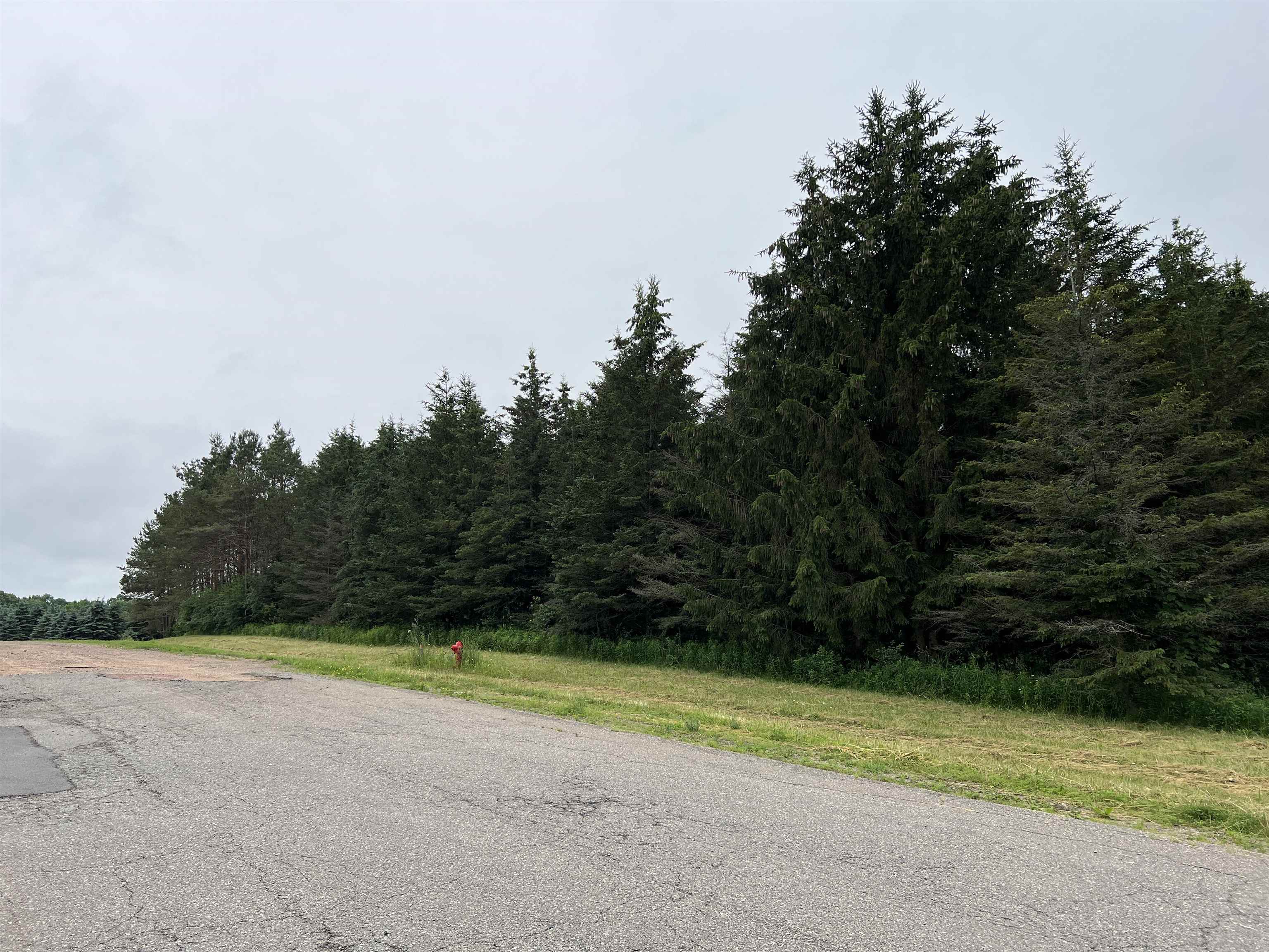 Lot 6 SUE ALAN DRIVE, Wittenberg, Wisconsin 54499, ,Land,For Sale,Lot 6 SUE ALAN DRIVE,22403732