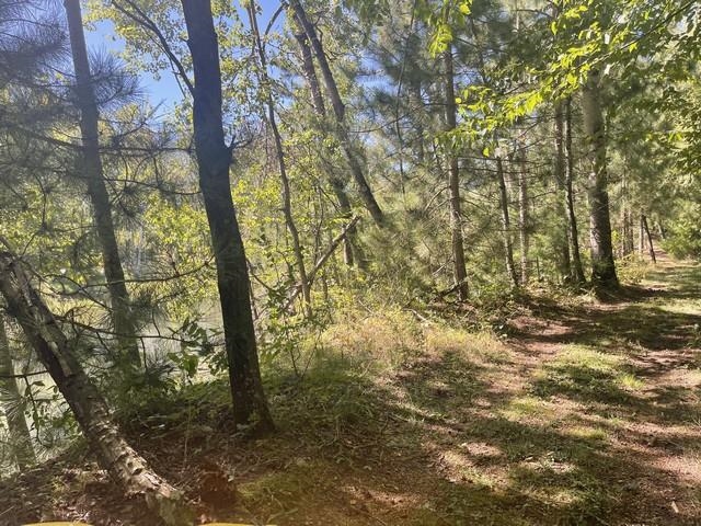 Lot 4 SKYVIEW ROAD, Mosinee, Wisconsin 54455, ,Land,For Sale,Lot 4 SKYVIEW ROAD,22404245