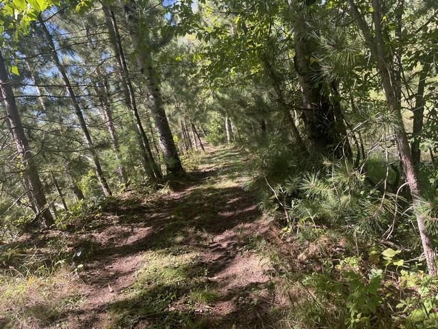 Lot 4 SKYVIEW ROAD, Mosinee, Wisconsin 54455, ,Land,For Sale,Lot 4 SKYVIEW ROAD,22404245