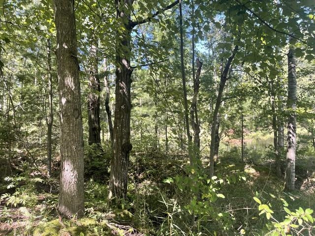 Lot 4 SKYVIEW ROAD, Mosinee, Wisconsin 54455, ,Land,For Sale,Lot 4 SKYVIEW ROAD,22404245