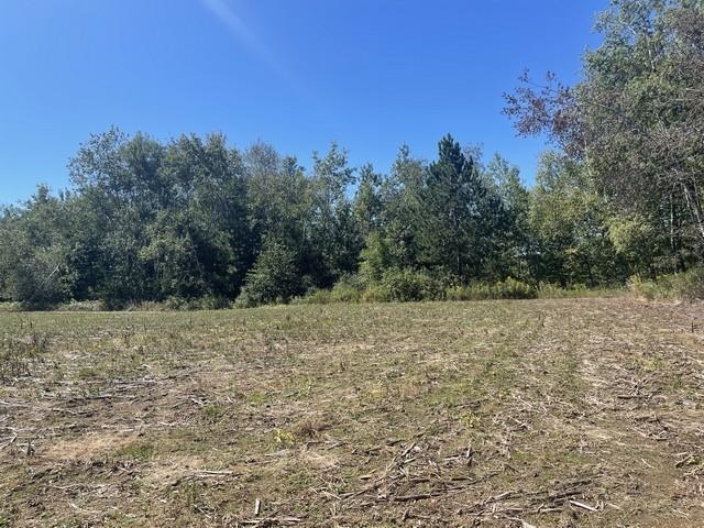 Lot 4 SKYVIEW ROAD, Mosinee, Wisconsin 54455, ,Land,For Sale,Lot 4 SKYVIEW ROAD,22404245