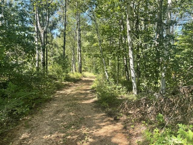 Lot 4 SKYVIEW ROAD, Mosinee, Wisconsin 54455, ,Land,For Sale,Lot 4 SKYVIEW ROAD,22404245