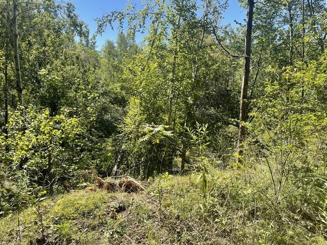 Lot 4 SKYVIEW ROAD, Mosinee, Wisconsin 54455, ,Land,For Sale,Lot 4 SKYVIEW ROAD,22404245