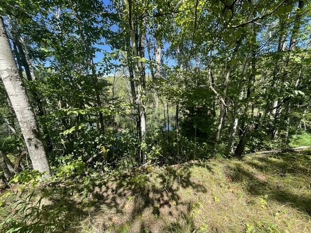 Lot 4 SKYVIEW ROAD, Mosinee, Wisconsin 54455, ,Land,For Sale,Lot 4 SKYVIEW ROAD,22404245