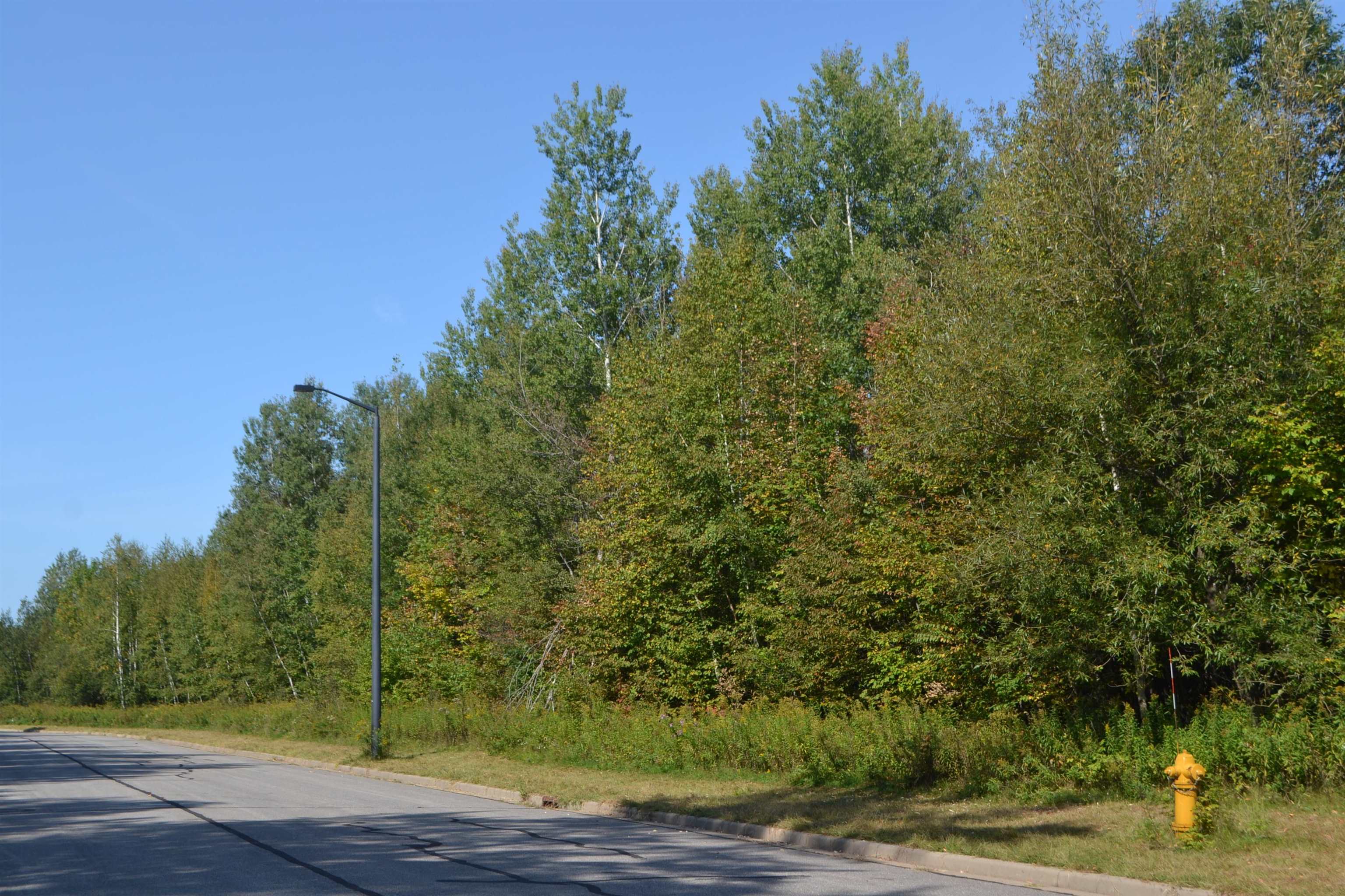 10204 ADVENTURE WAY, Weston, Wisconsin 54476, ,Land,For Sale,10204 ADVENTURE WAY,22404321