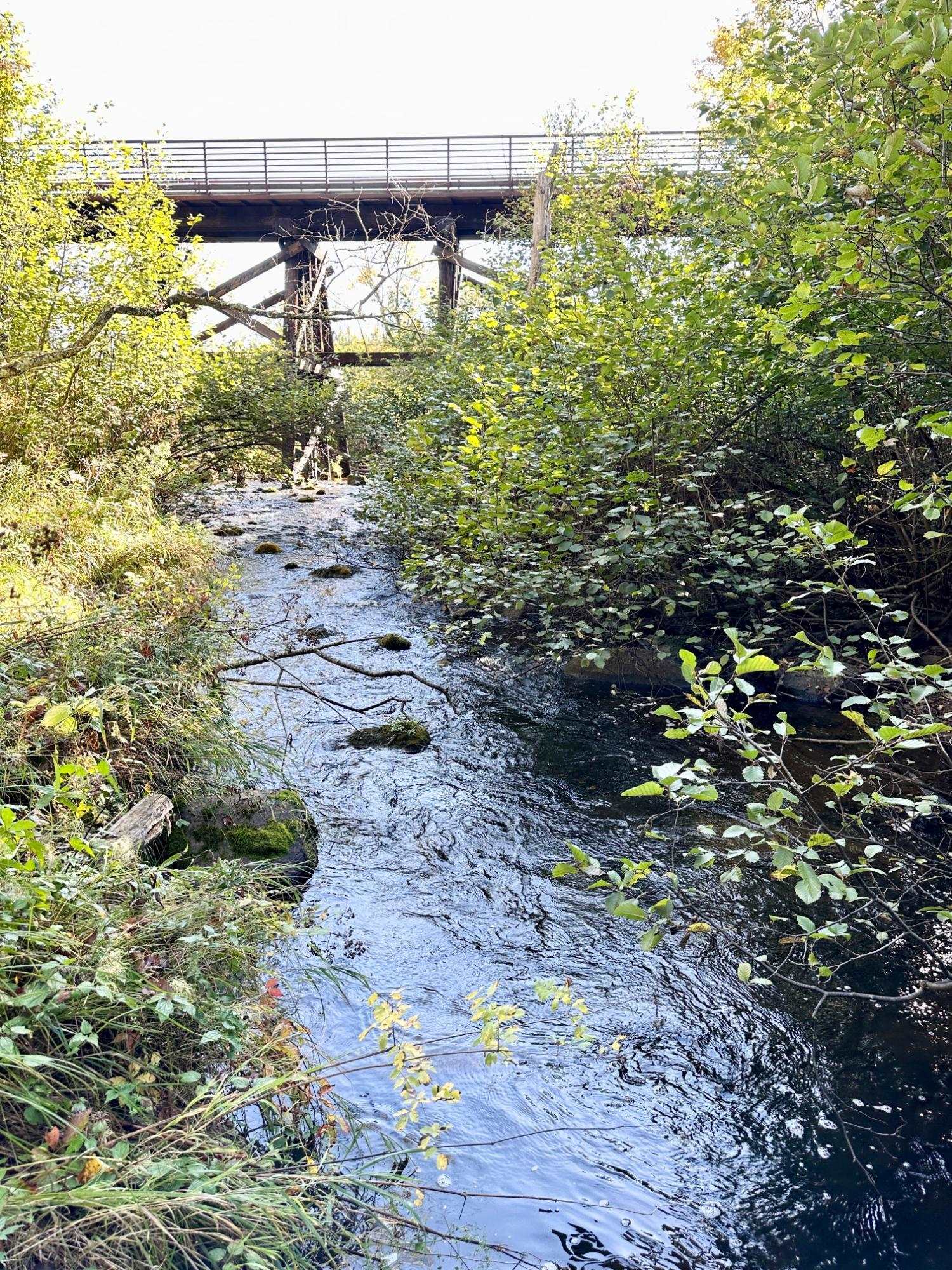 W3174 W HOLLISTER ROAD, Wolf River, Wisconsin 54491, 2 Bedrooms Bedrooms, ,1 BathroomBathrooms,Residential,For Sale,W3174 W HOLLISTER ROAD,22404506