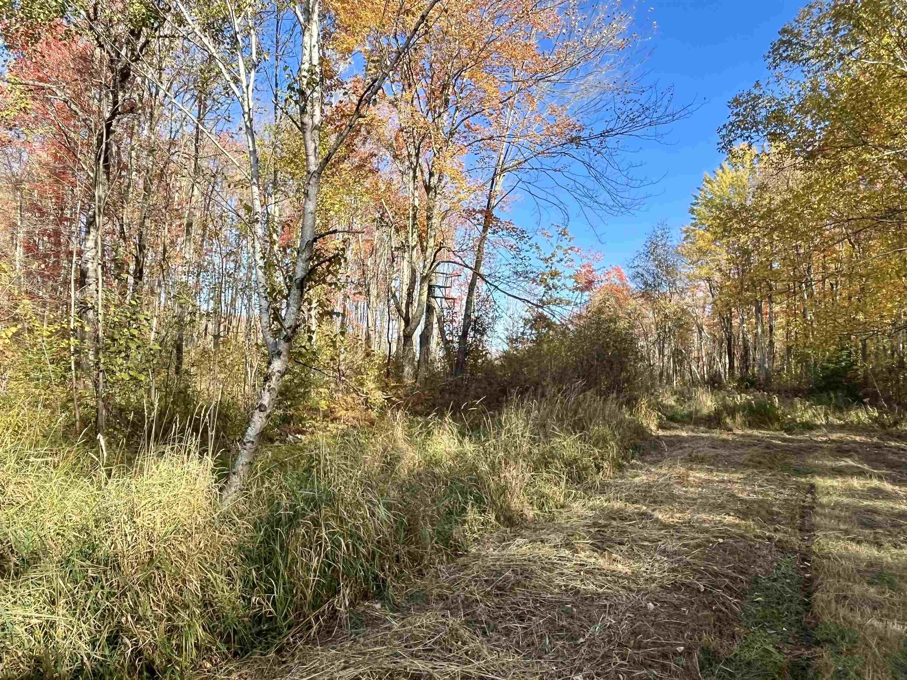 N5104 PASS ROAD, Catawba, Wisconsin 54515, ,Land,For Sale,N5104 PASS ROAD,22404843