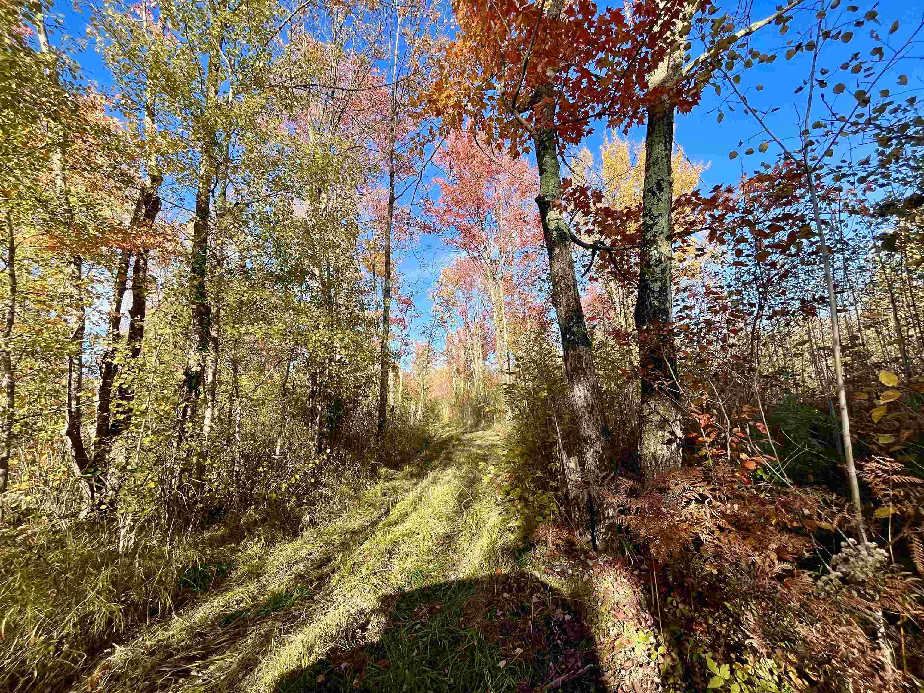 N5104 PASS ROAD, Catawba, Wisconsin 54515, ,Land,For Sale,N5104 PASS ROAD,22404843
