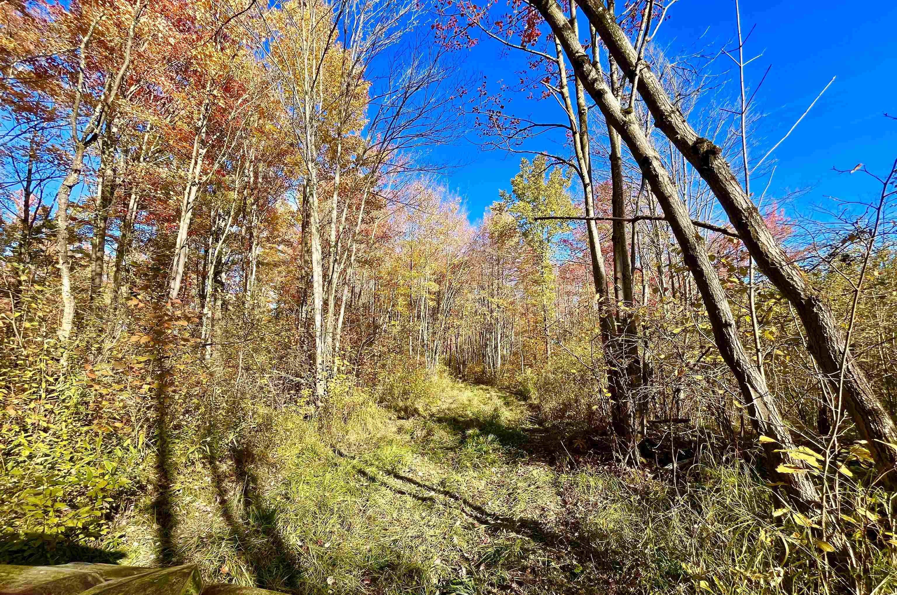 N5104 PASS ROAD, Catawba, Wisconsin 54515, ,Land,For Sale,N5104 PASS ROAD,22404843