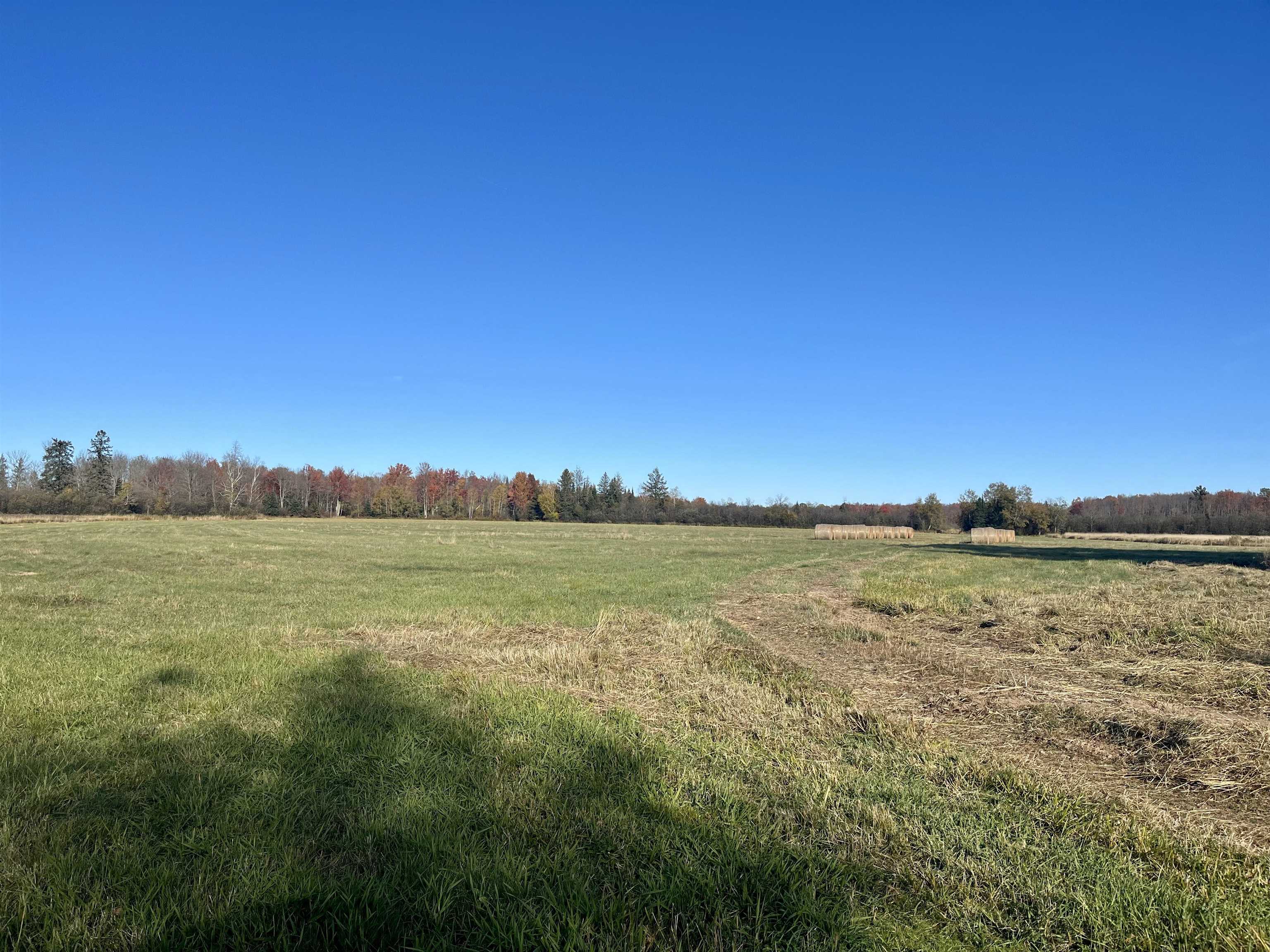 N5104 PASS ROAD, Catawba, Wisconsin 54515, ,Land,For Sale,N5104 PASS ROAD,22404843