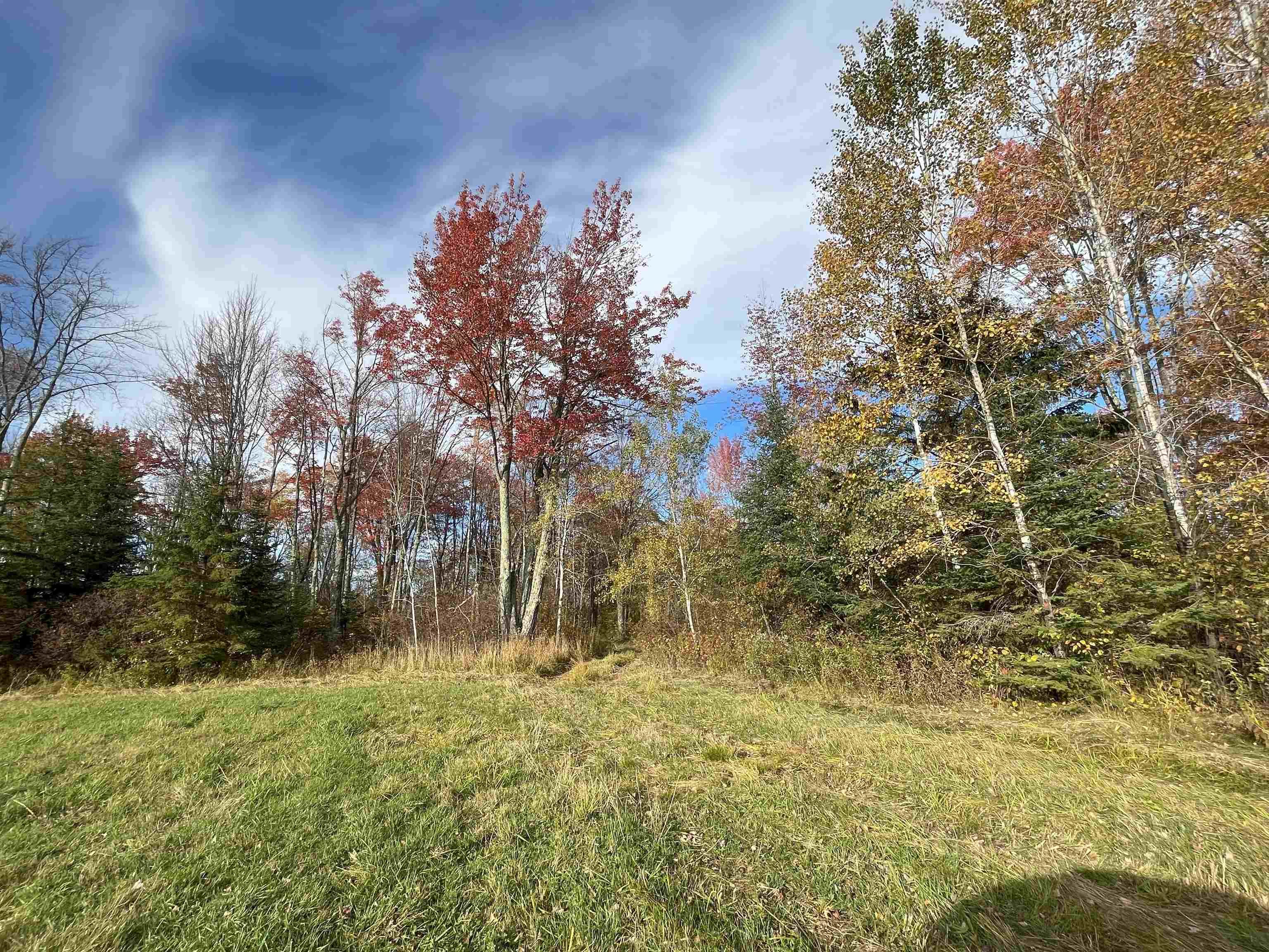 N5104 PASS ROAD, Catawba, Wisconsin 54515, ,Land,For Sale,N5104 PASS ROAD,22404843