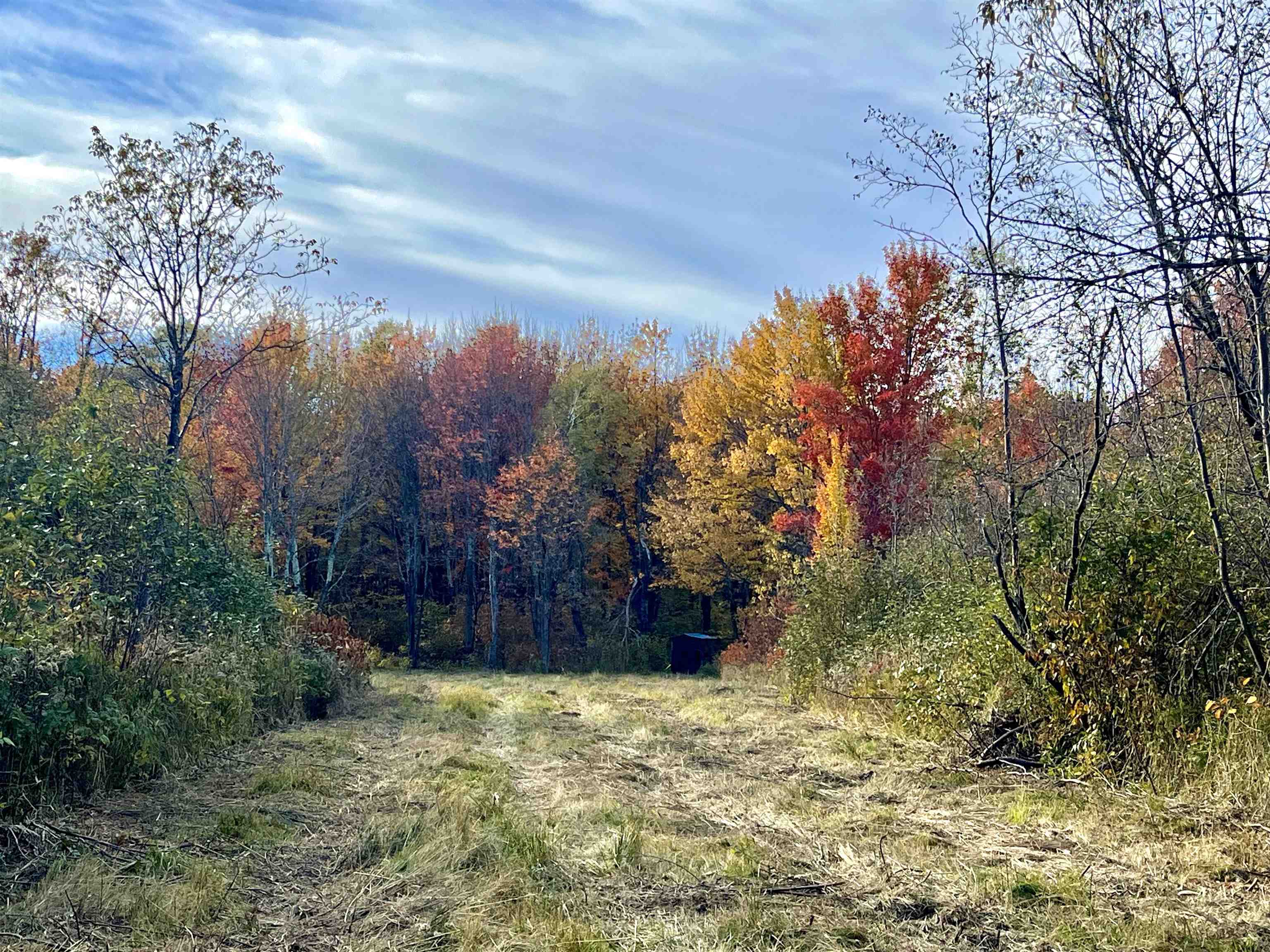 N5104 PASS ROAD, Catawba, Wisconsin 54515, ,Land,For Sale,N5104 PASS ROAD,22404843