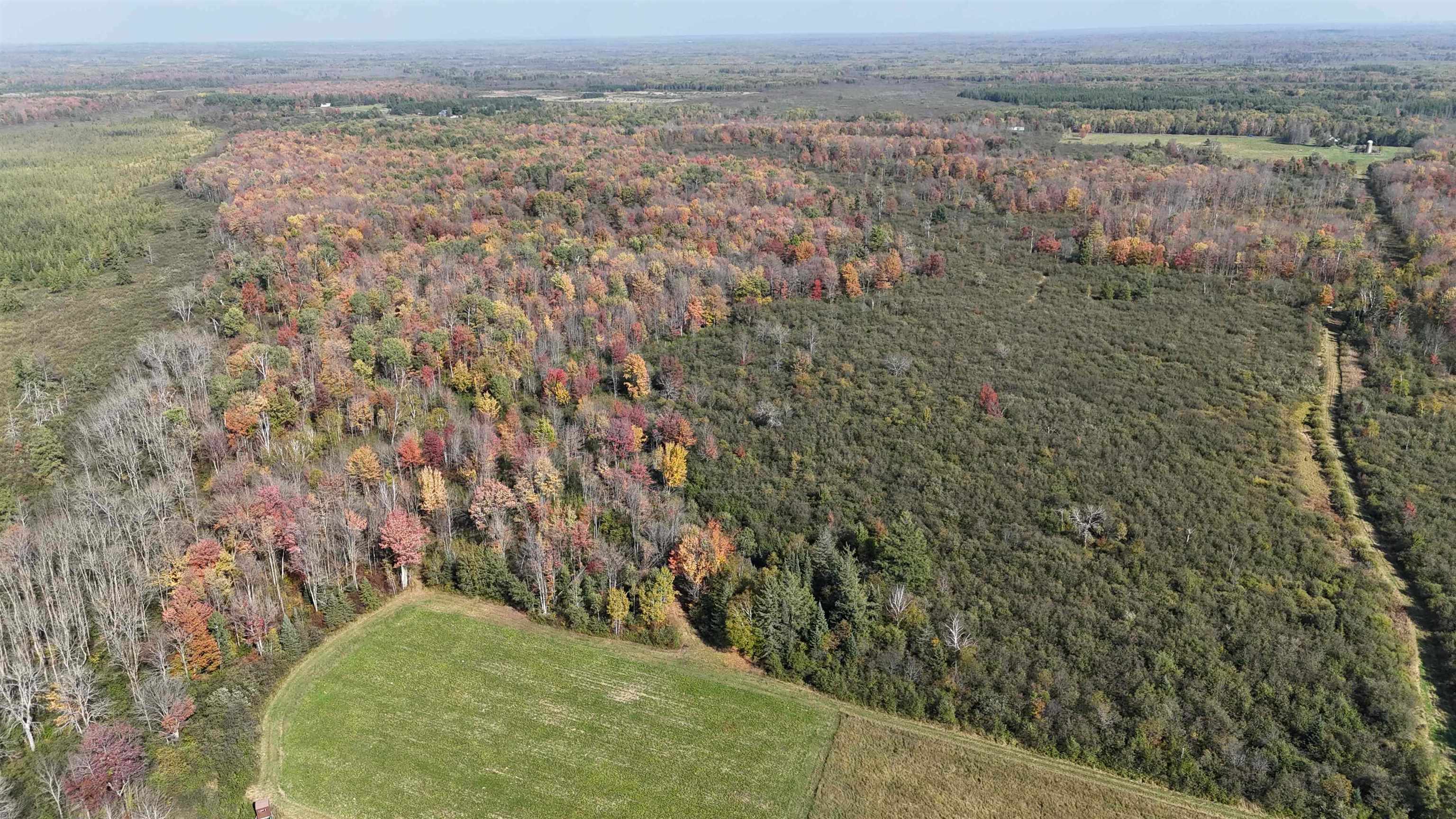 N5104 PASS ROAD, Catawba, Wisconsin 54515, ,Land,For Sale,N5104 PASS ROAD,22404843