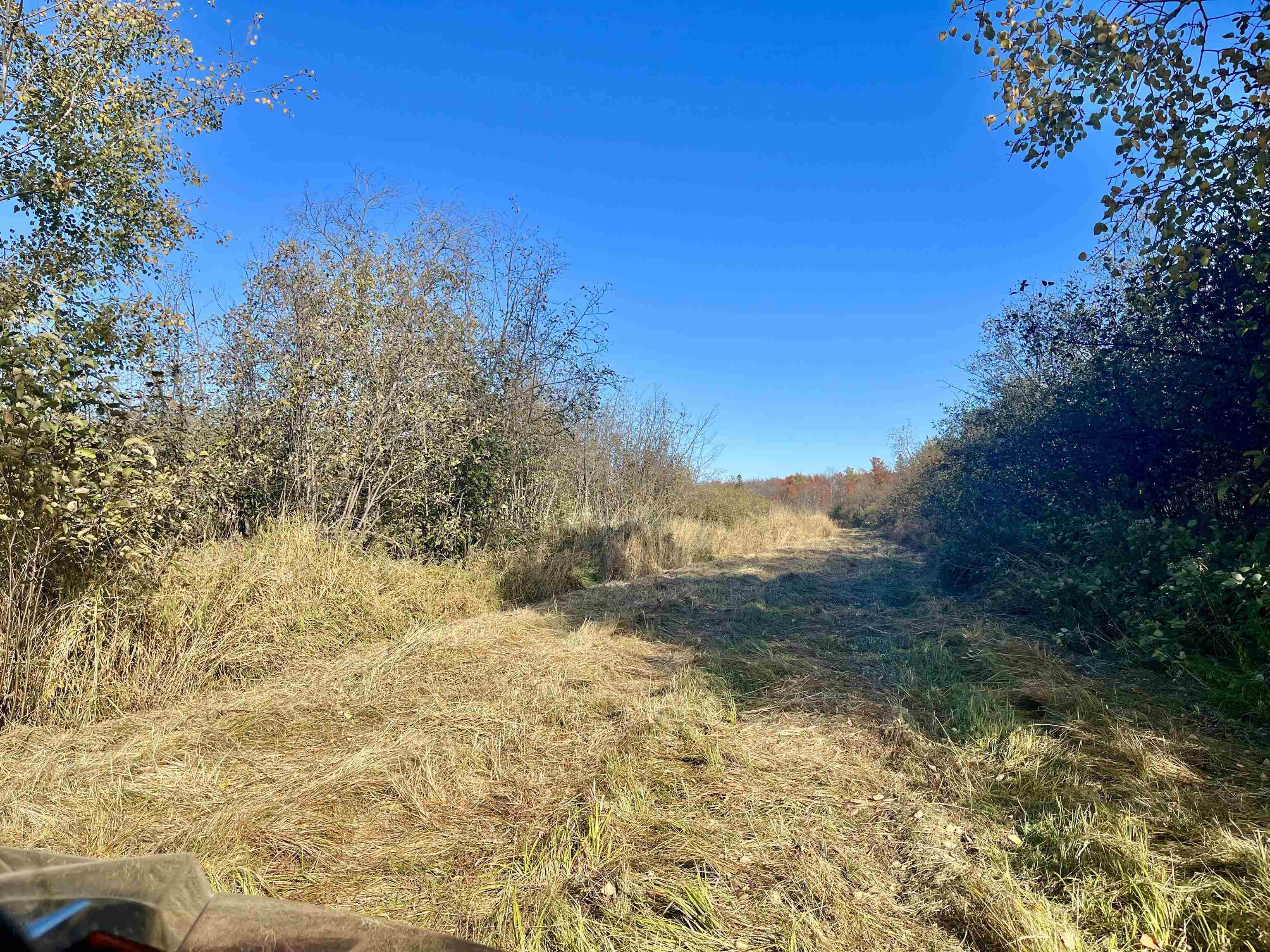 N5104 PASS ROAD, Catawba, Wisconsin 54515, ,Land,For Sale,N5104 PASS ROAD,22404843