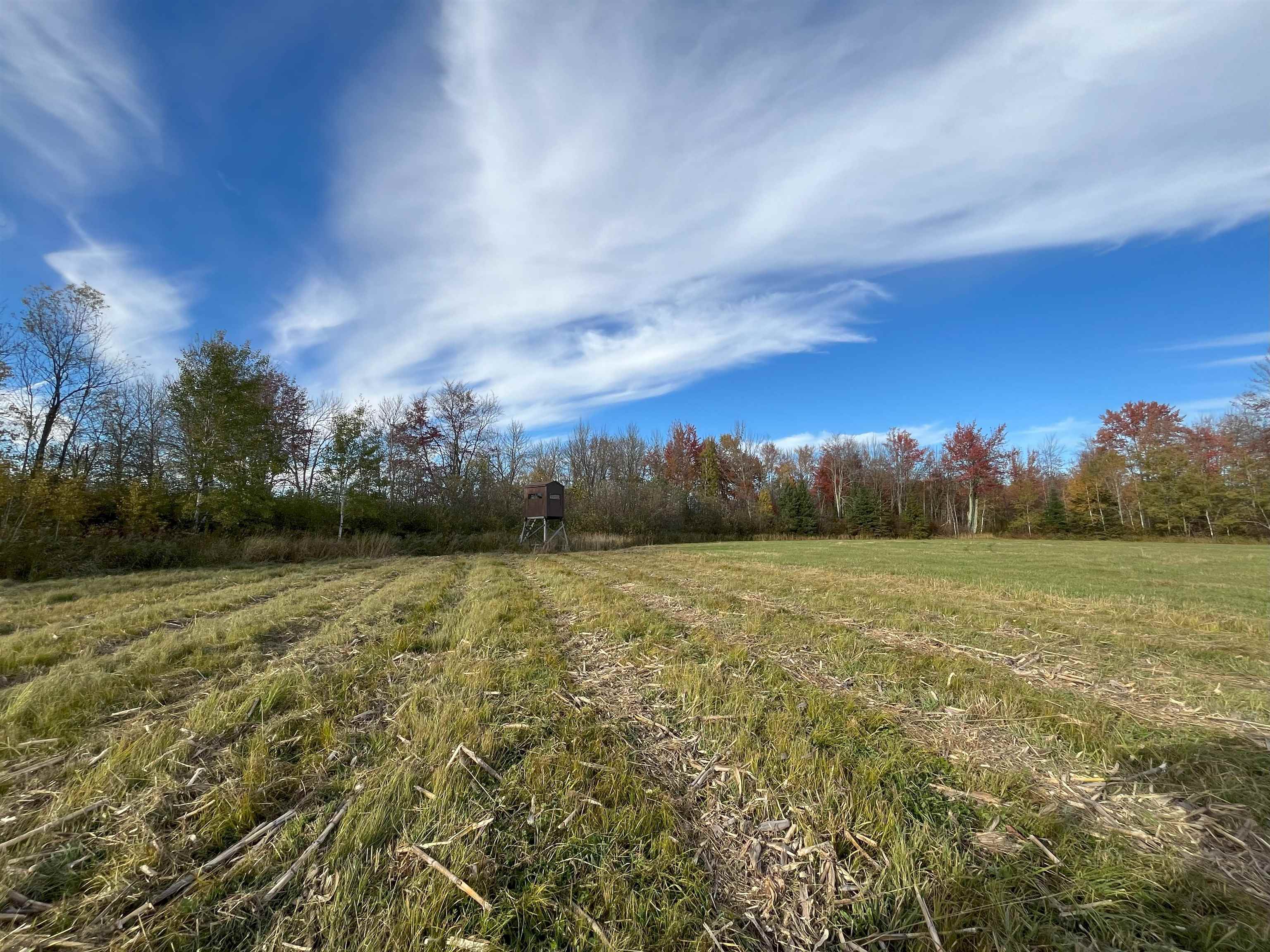 N5104 PASS ROAD, Catawba, Wisconsin 54515, ,Land,For Sale,N5104 PASS ROAD,22404843