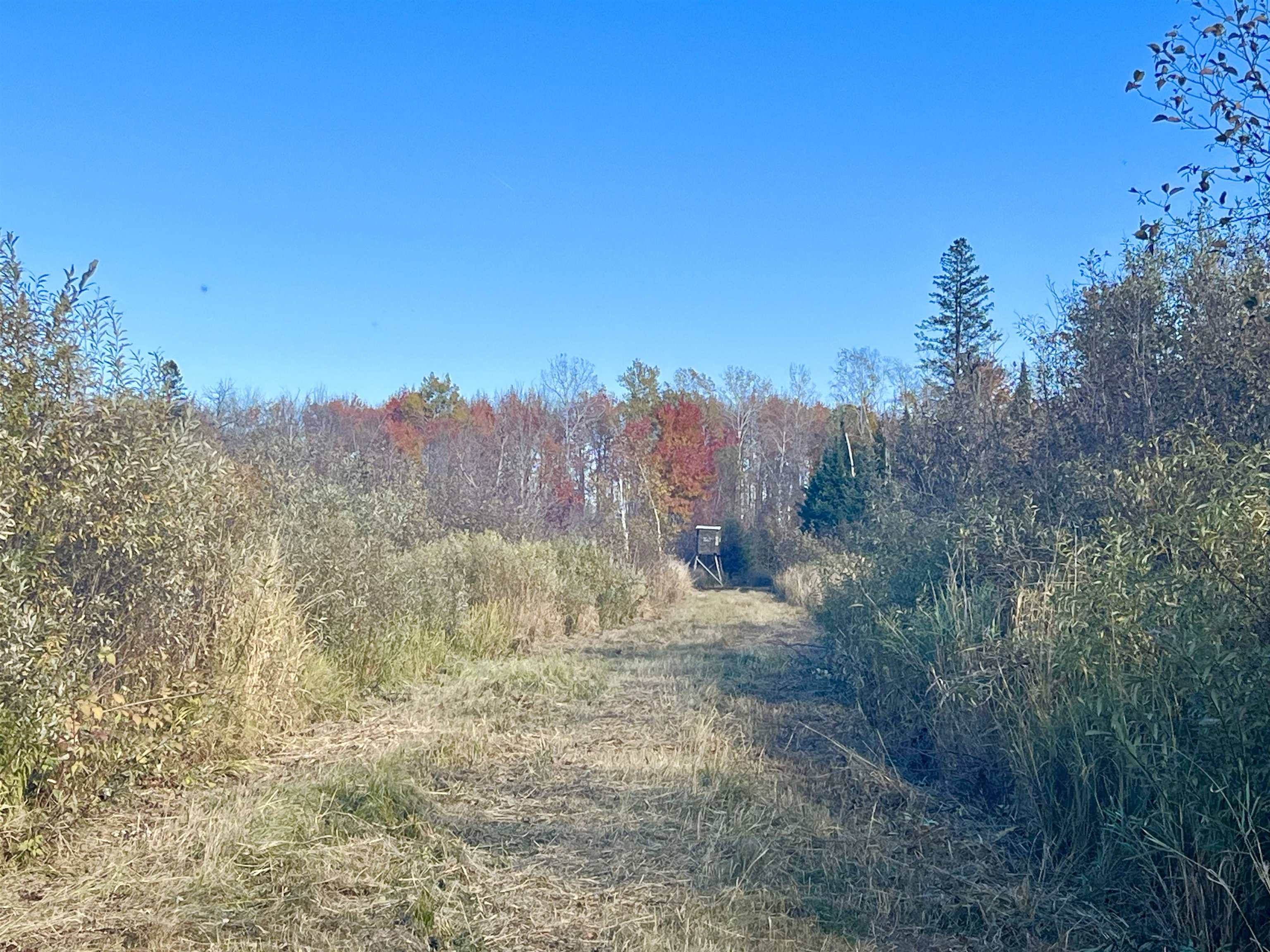 N5104 PASS ROAD, Catawba, Wisconsin 54515, ,Land,For Sale,N5104 PASS ROAD,22404843