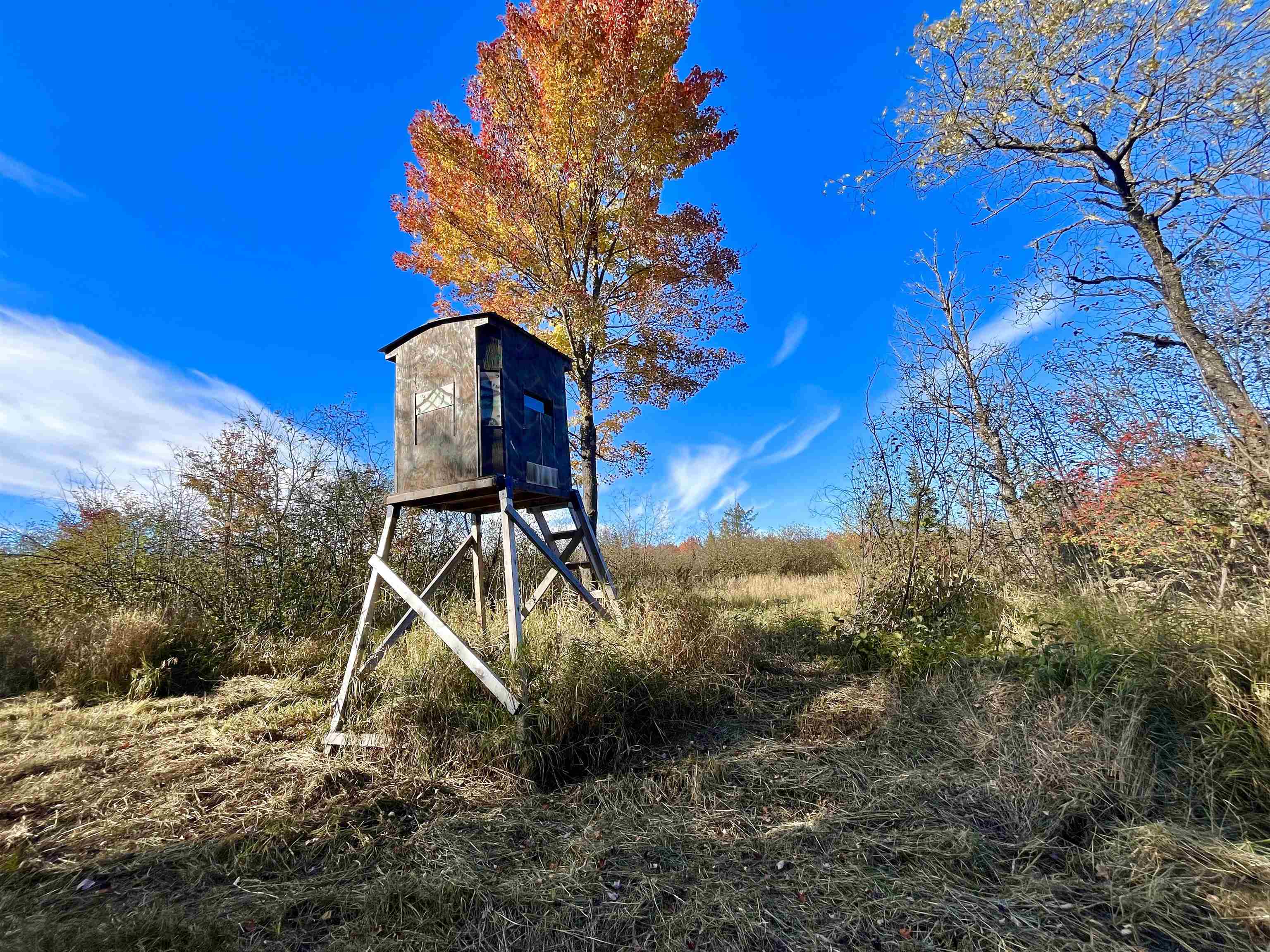 N5104 PASS ROAD, Catawba, Wisconsin 54515, ,Land,For Sale,N5104 PASS ROAD,22404843