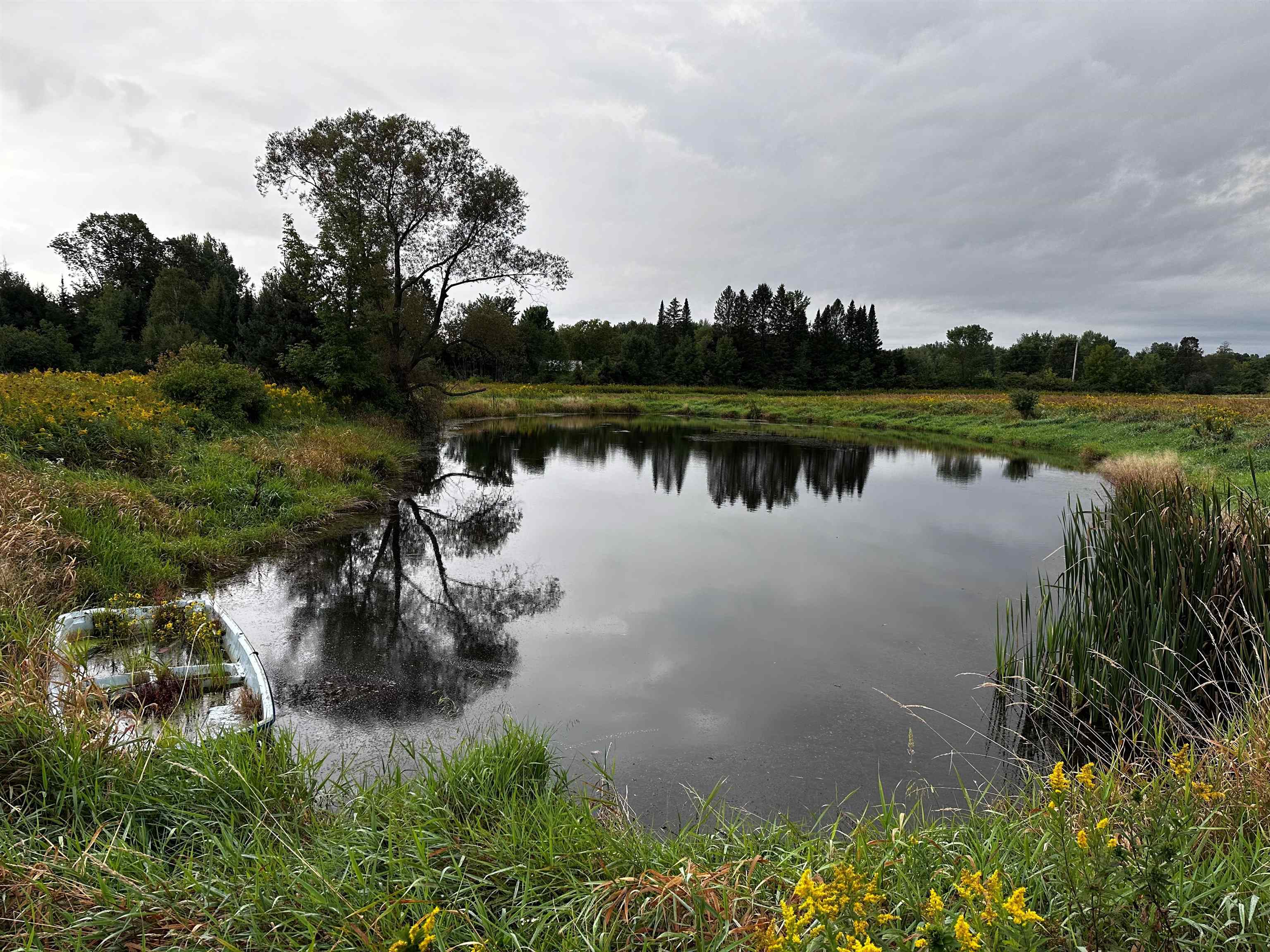 5.5 Acres CORAZALLA DRIVE