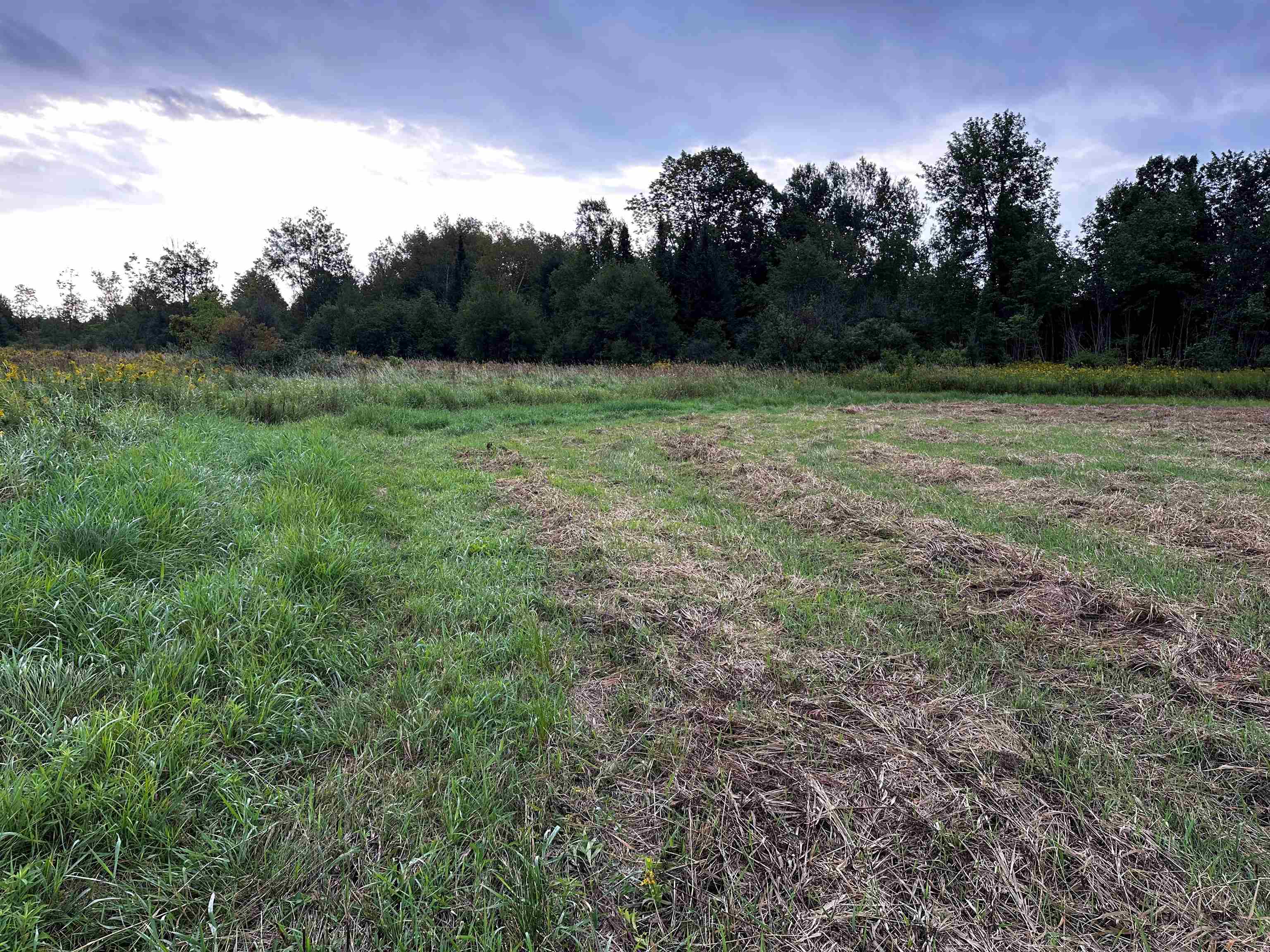 5.5 Acres CORAZALLA DRIVE