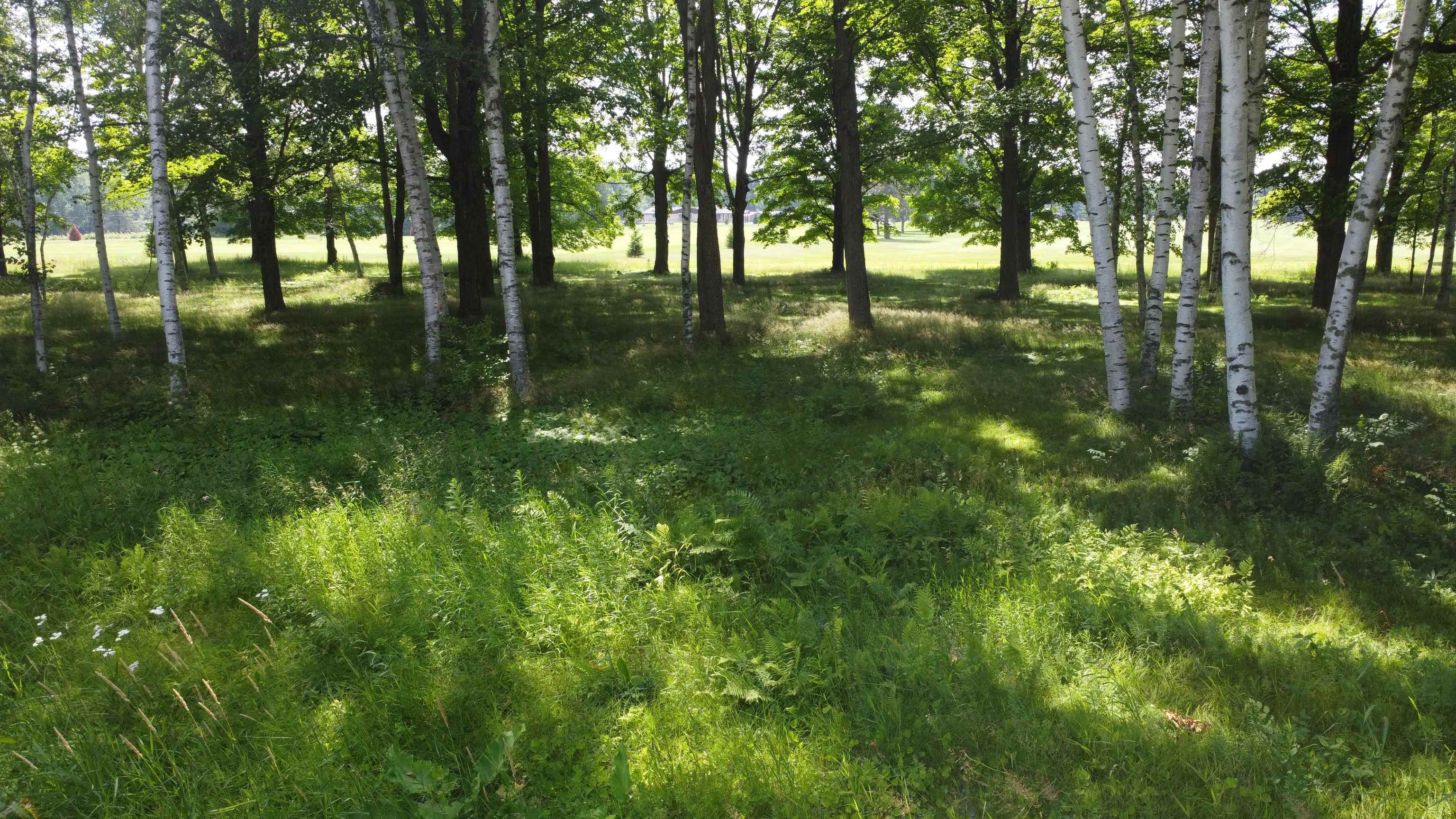 Lot 12 HUNTER CIRCLE, Antigo, Wisconsin 54409, ,Land,For Sale,Lot 12 HUNTER CIRCLE,22405328