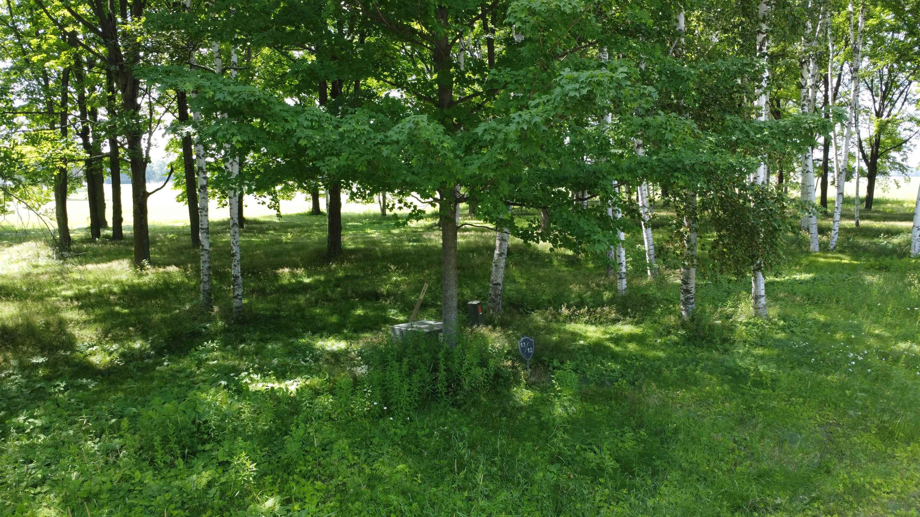 Lot 12 HUNTER CIRCLE, Antigo, Wisconsin 54409, ,Land,For Sale,Lot 12 HUNTER CIRCLE,22405328