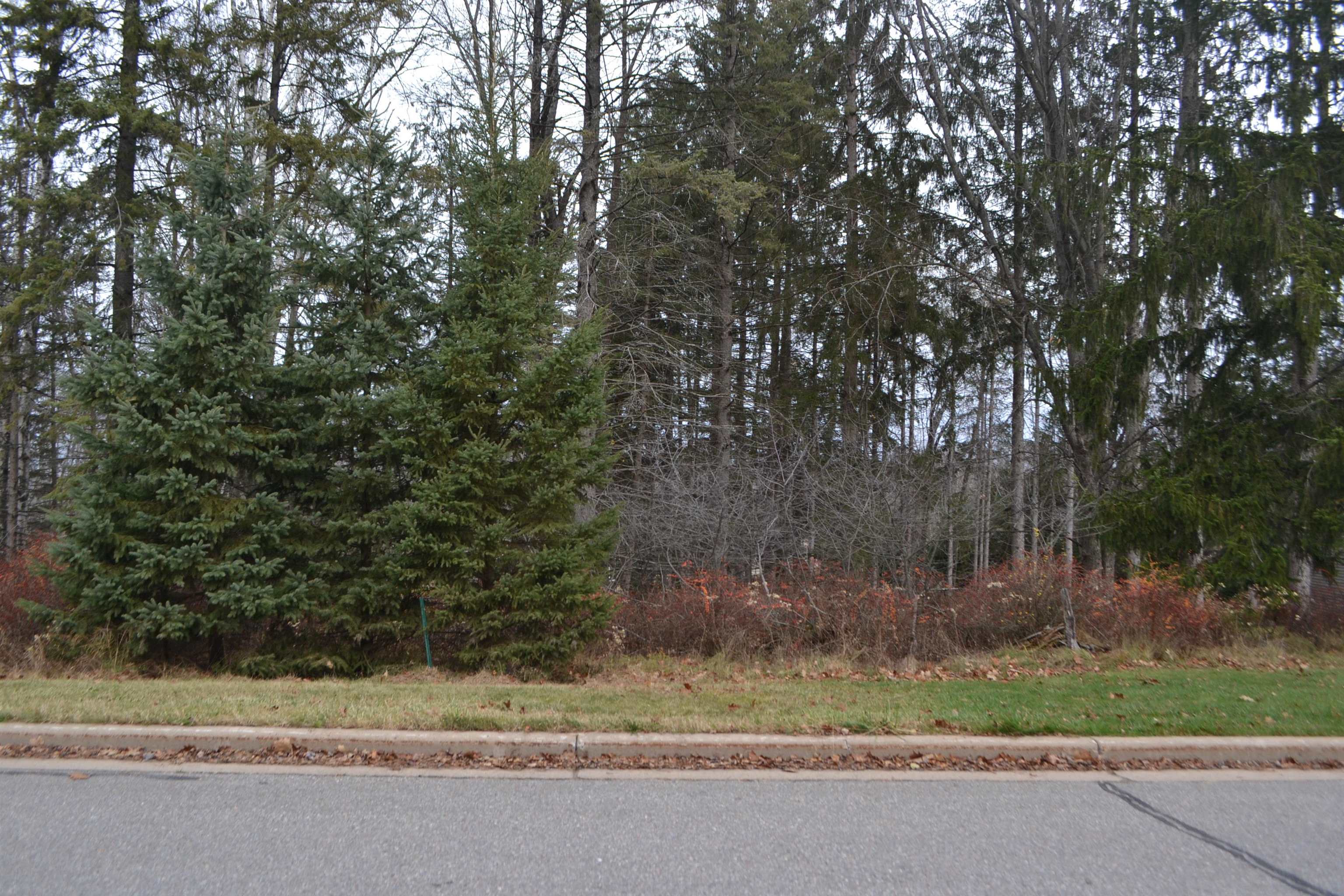 Lot #24 DEER TAIL LANE, Wausau, Wisconsin 54401, ,Land,For Sale,Lot #24 DEER TAIL LANE,22405544