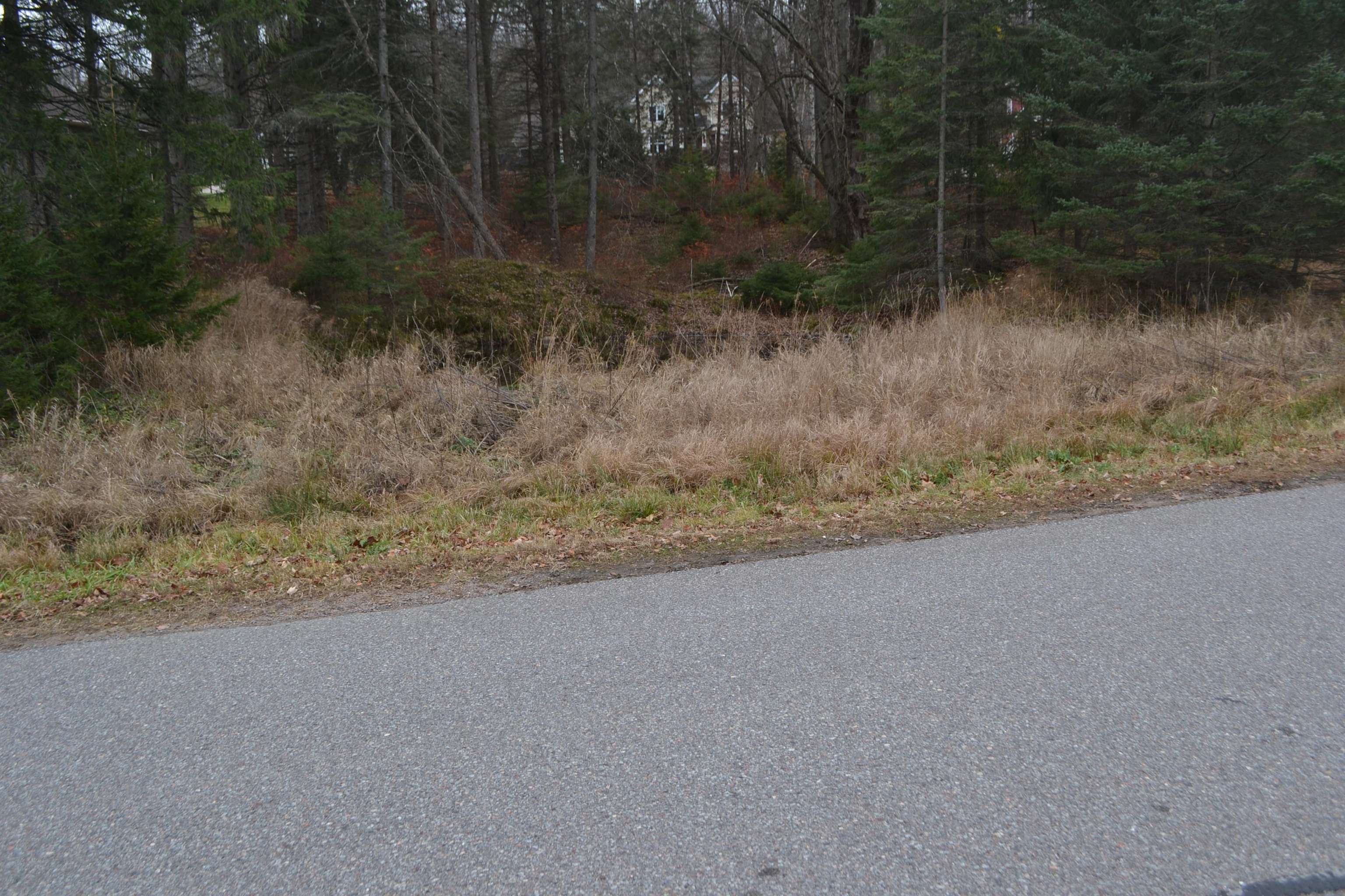 Lot #24 DEER TAIL LANE, Wausau, Wisconsin 54401, ,Land,For Sale,Lot #24 DEER TAIL LANE,22405544