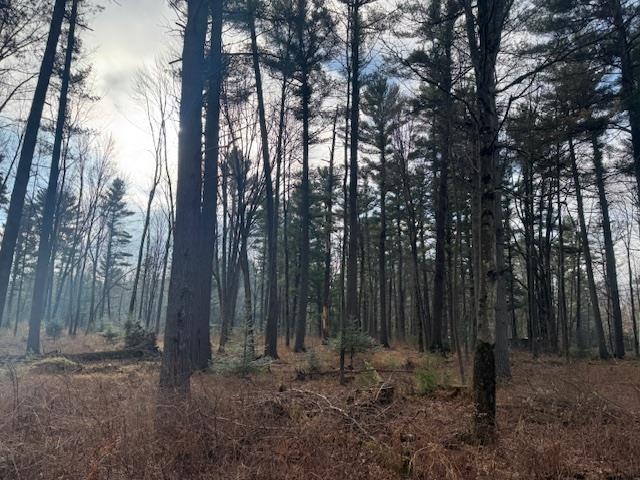 4 TALIESIN WAY, Weston, Wisconsin 54476, ,Land,For Sale,4 TALIESIN WAY,22405655