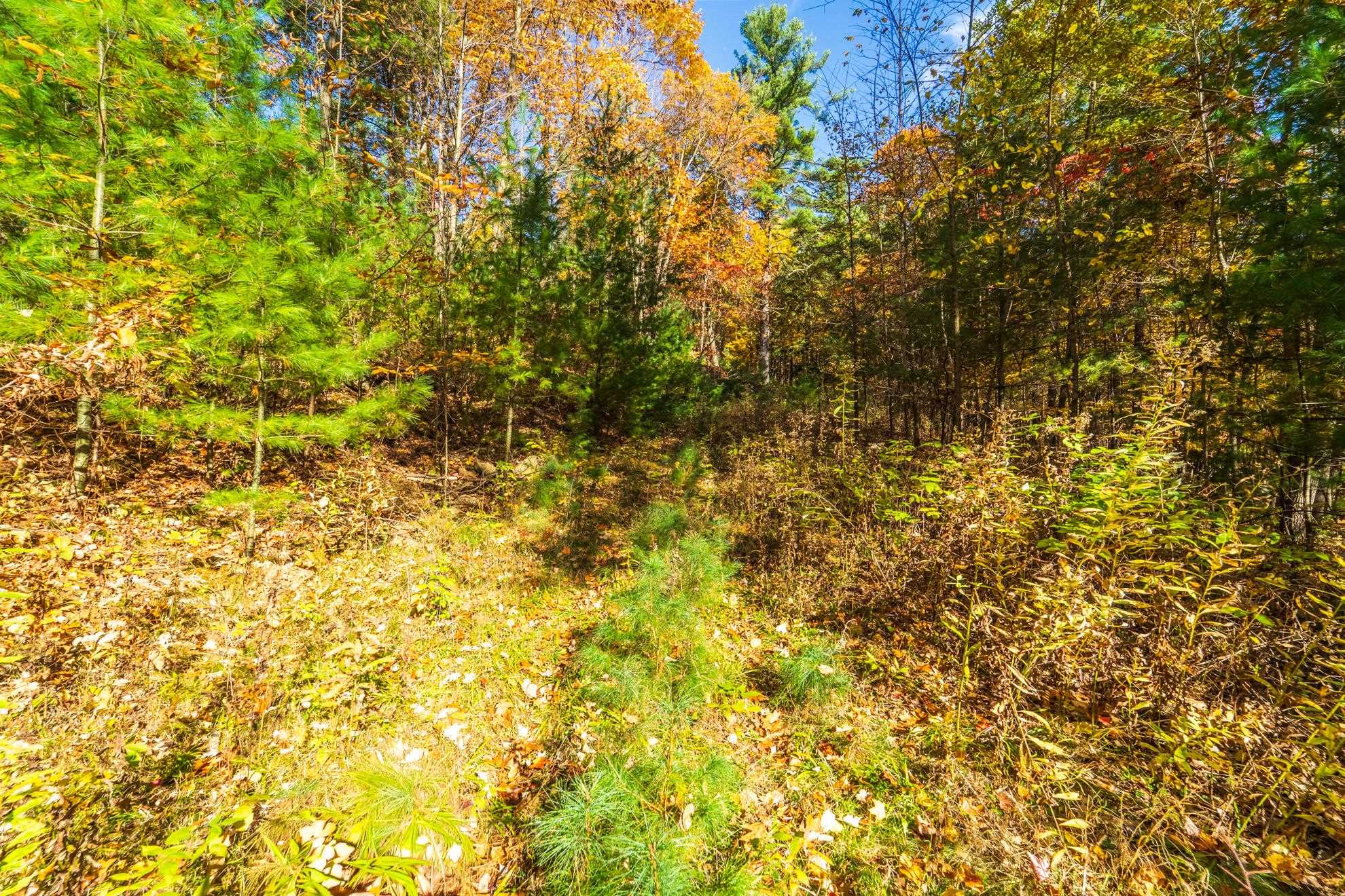 212 WINDTREE DRIVE, Wausau, Wisconsin 54401, ,Land,For Sale,212 WINDTREE DRIVE,22500256