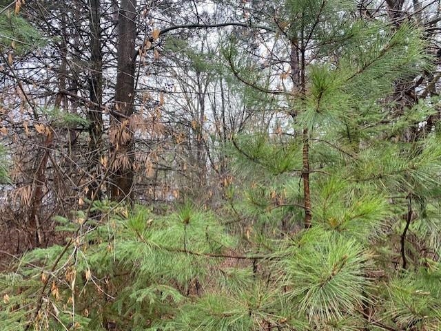 Lot 2 SIDELINE ROAD, Wausau, Wisconsin 54403, ,Land,For Sale,Lot 2 SIDELINE ROAD,22500371