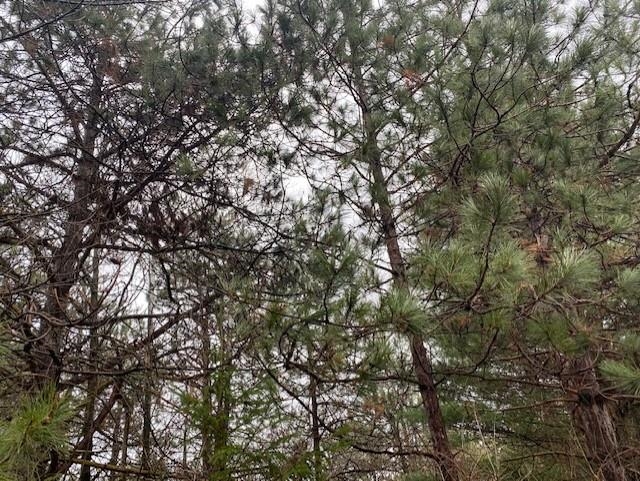 Lot 2 SIDELINE ROAD, Wausau, Wisconsin 54403, ,Land,For Sale,Lot 2 SIDELINE ROAD,22500371