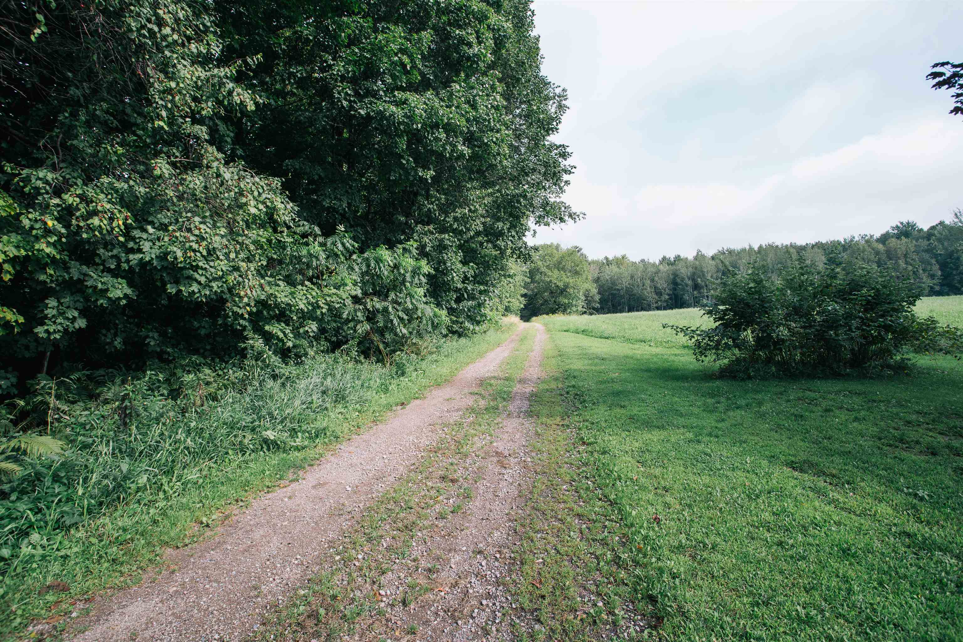 N8296 RIVER AVENUE, Greenwood, Wisconsin 54437, 5 Bedrooms Bedrooms, ,2 BathroomsBathrooms,Residential,For Sale,N8296 RIVER AVENUE,22500446