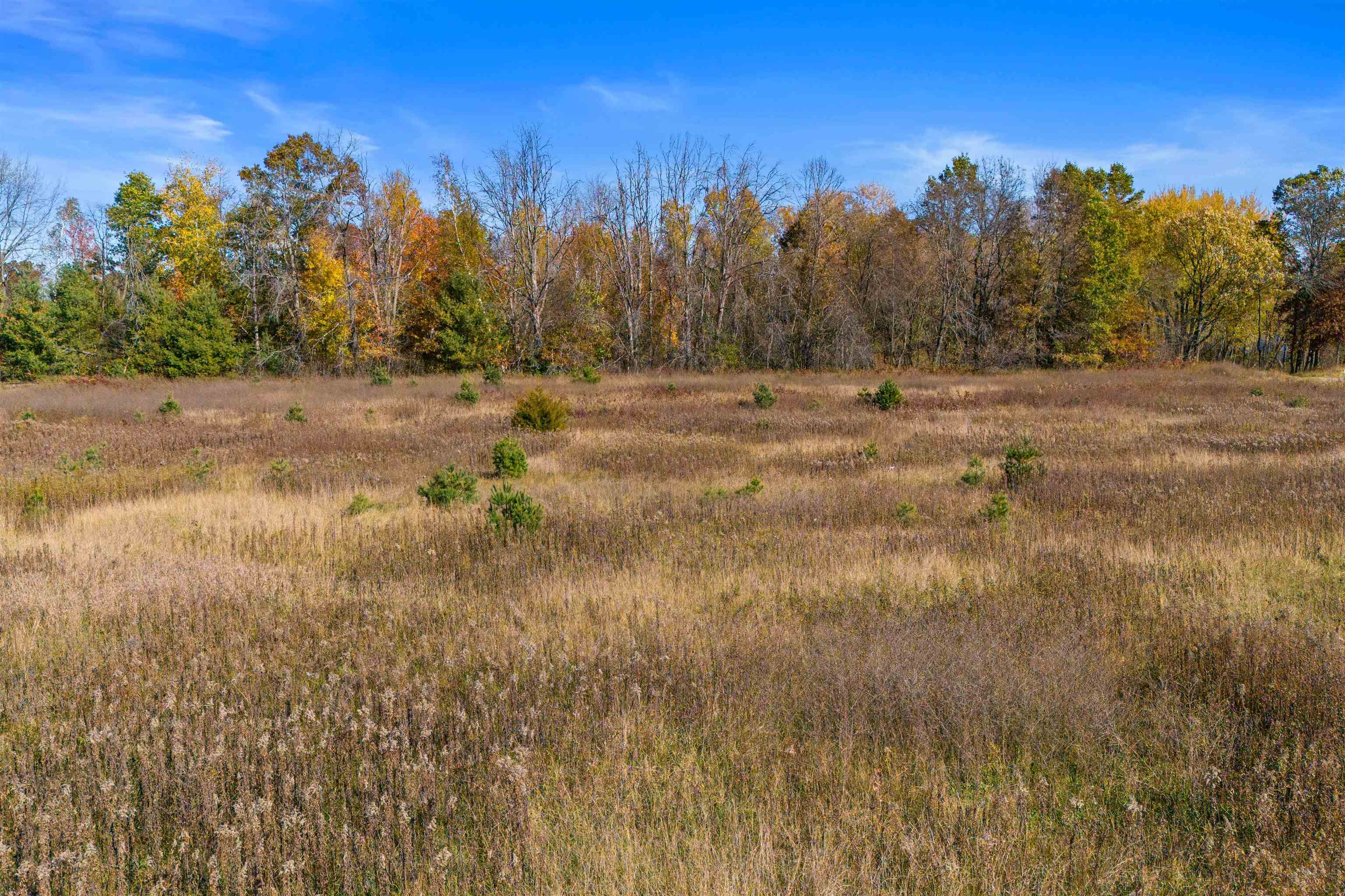 2143 PENINSULA PLACE, Junction City, Wisconsin 54443, ,Land,For Sale,2143 PENINSULA PLACE,22500447