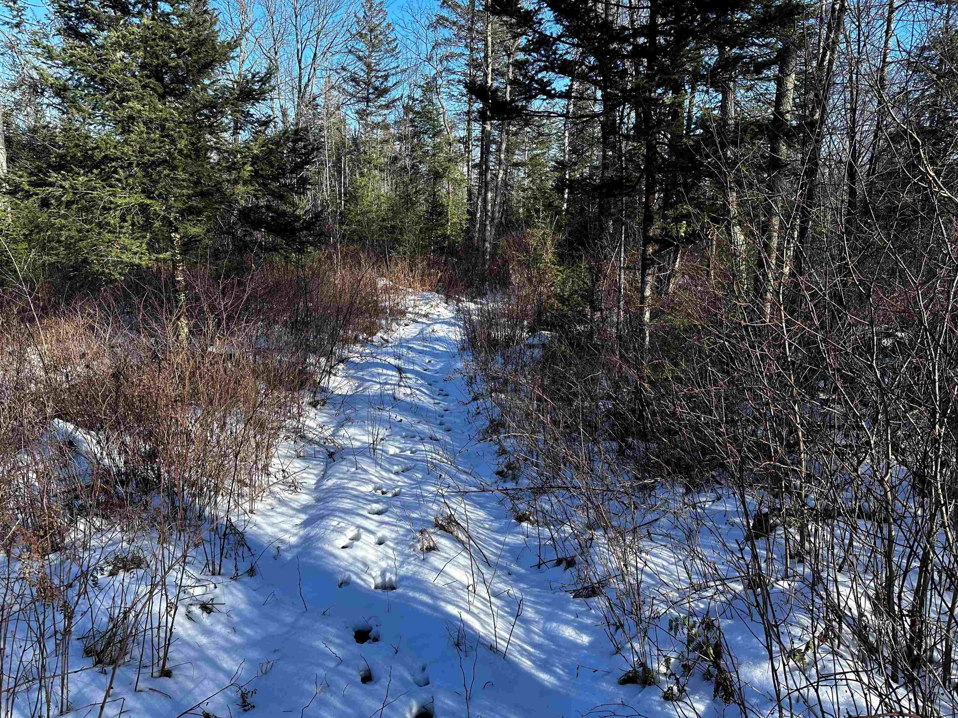 10396 N Summit Lake Road