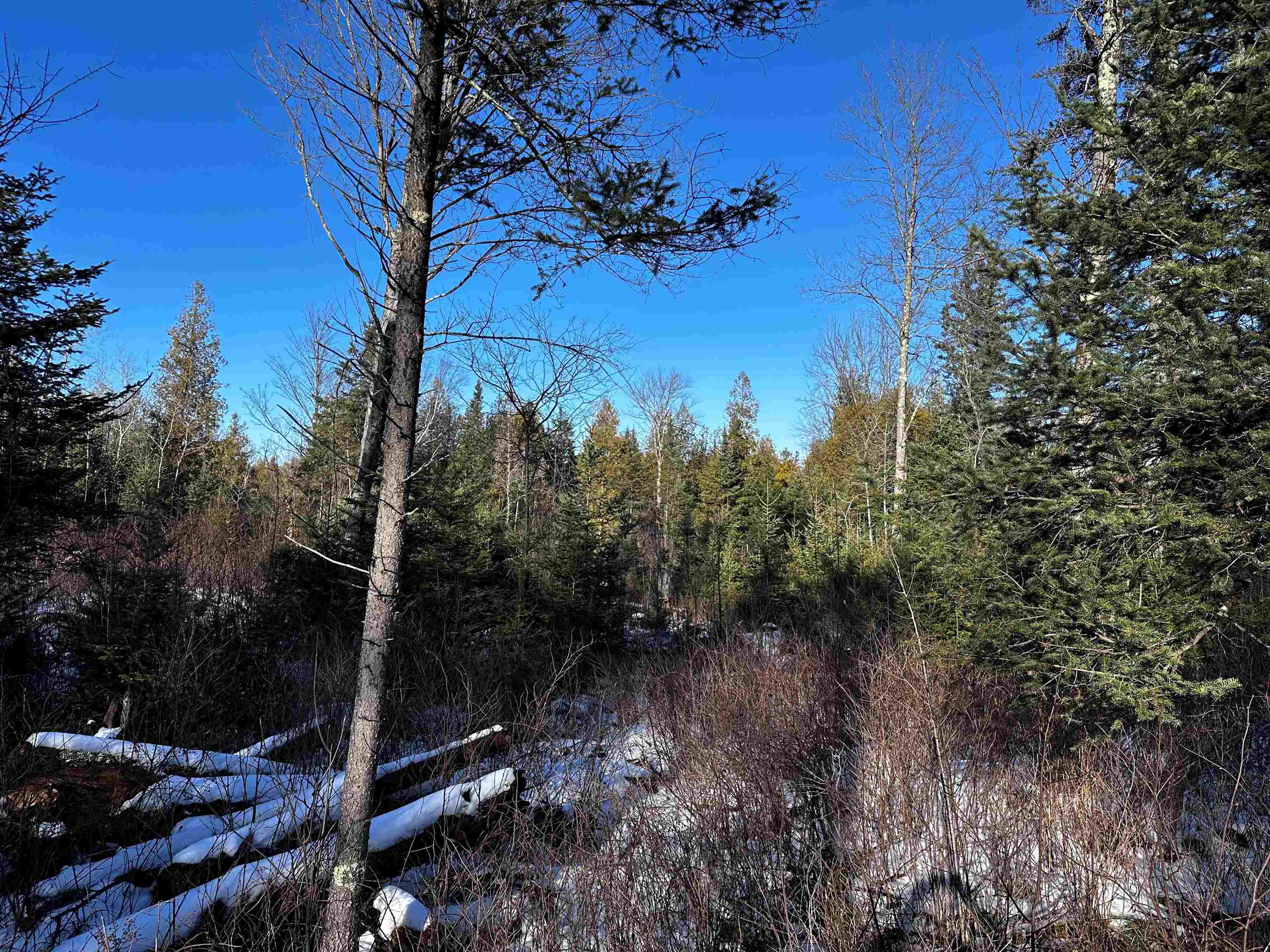 10396 N Summit Lake Road