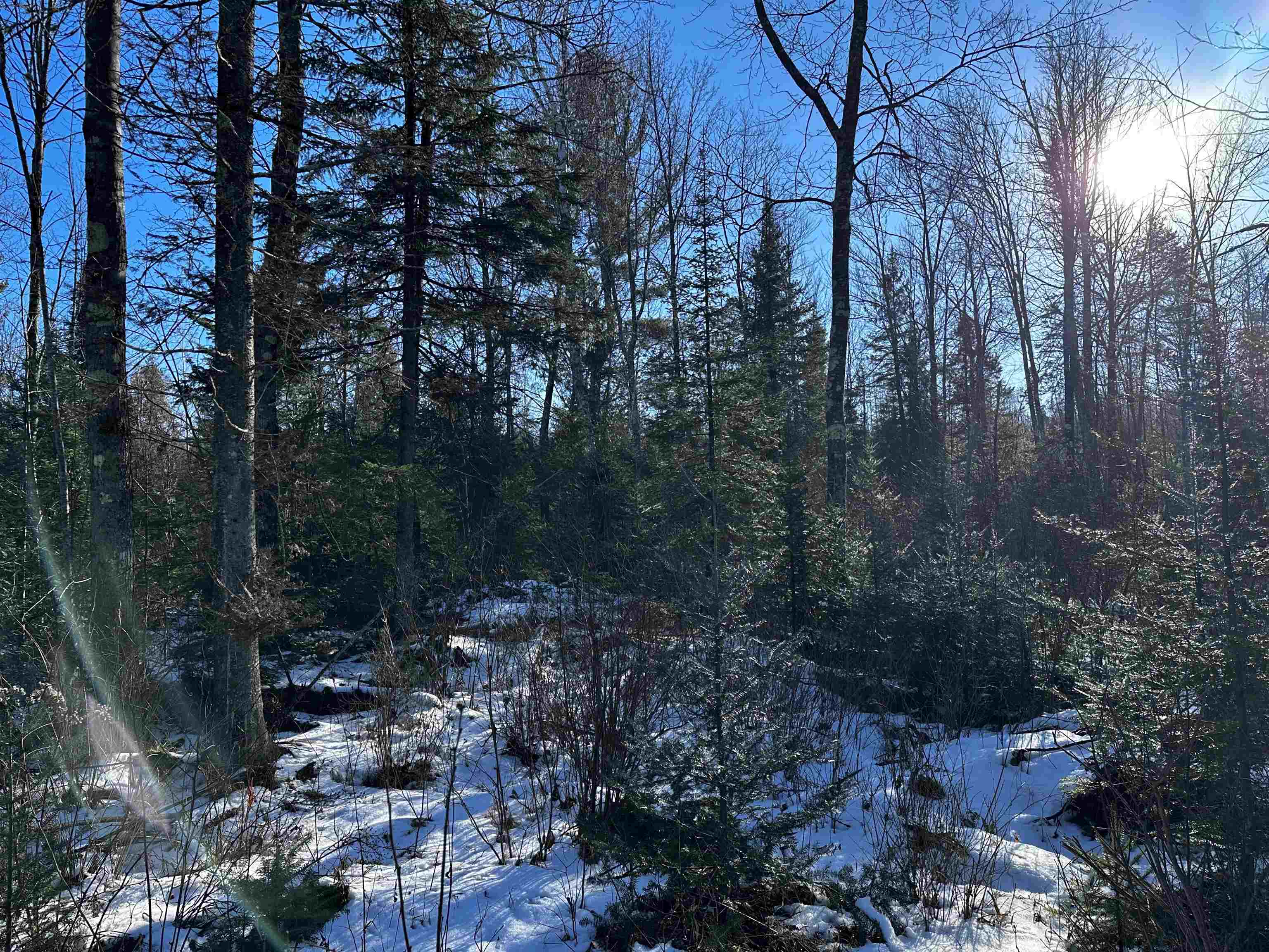 10396 N Summit Lake Road