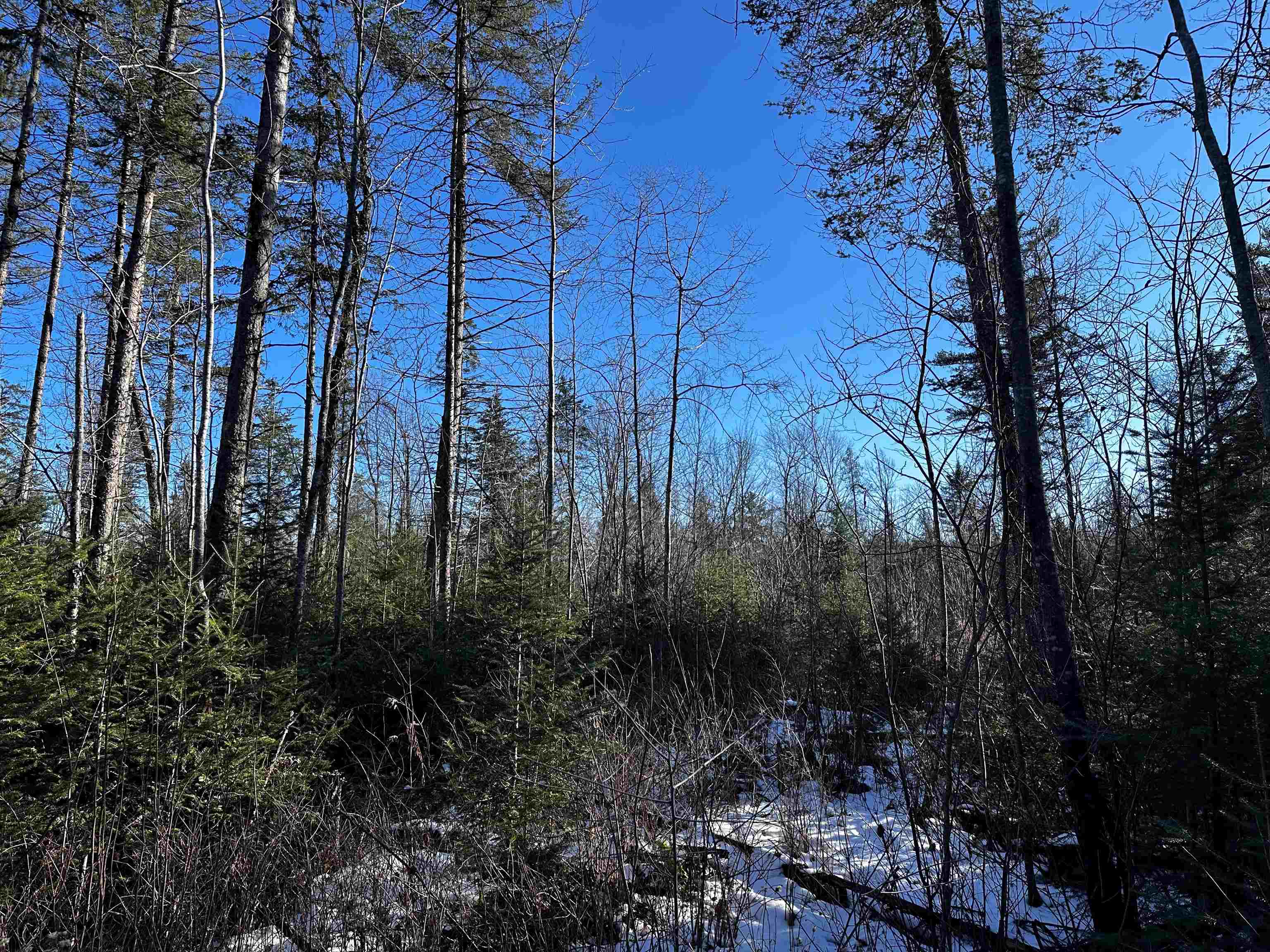 10396 N Summit Lake Road