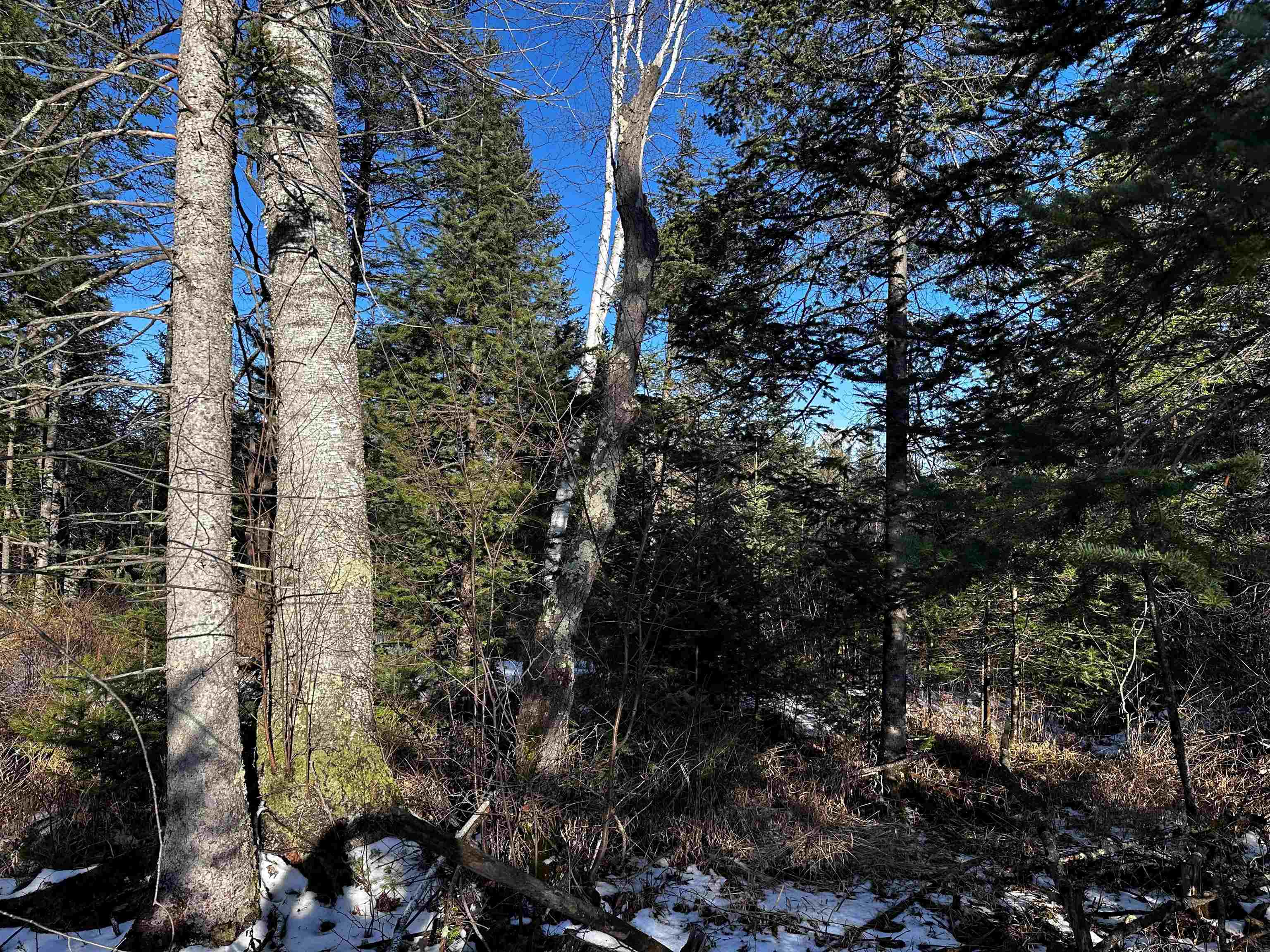 10396 N Summit Lake Road