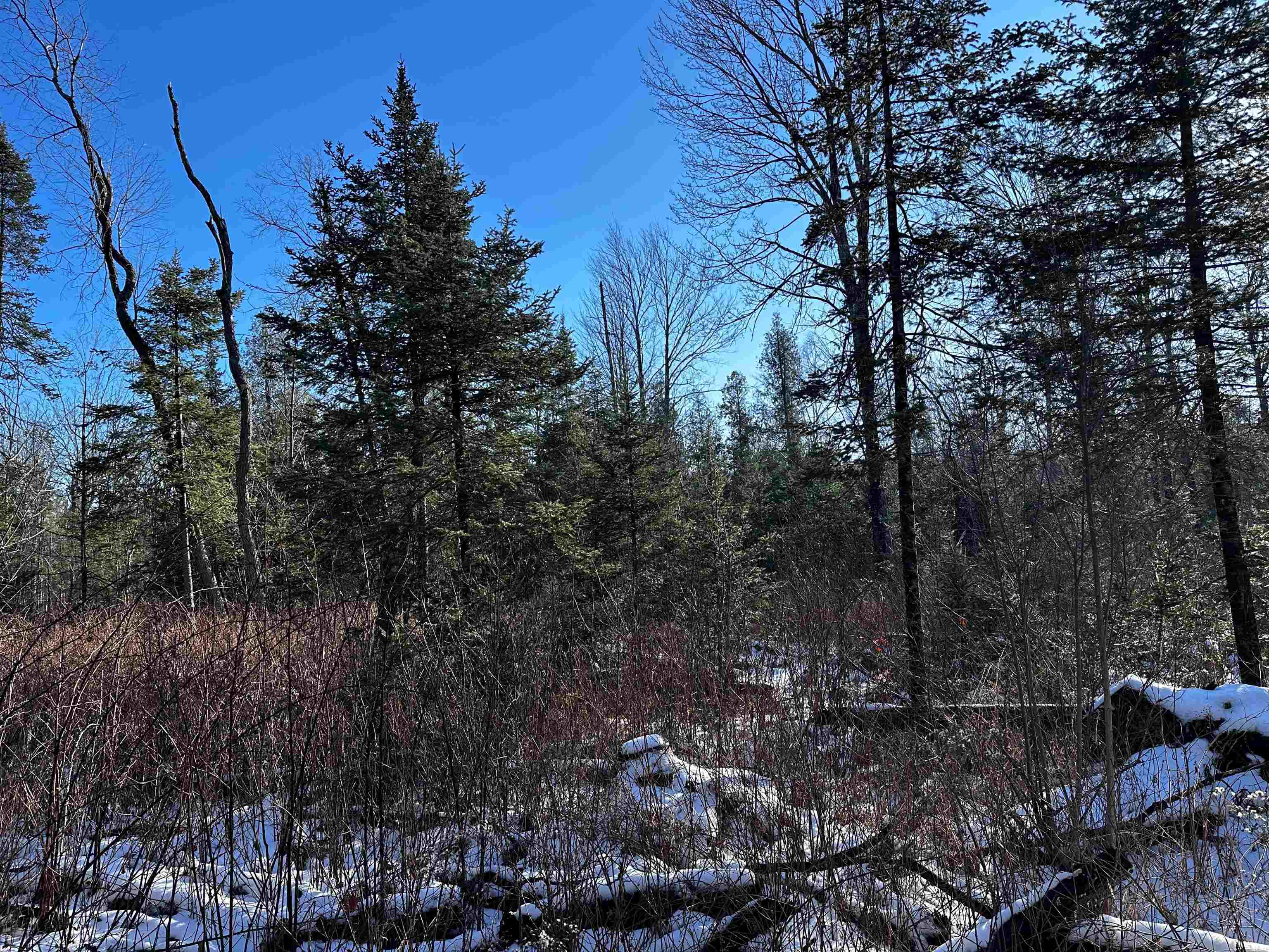 10396 N Summit Lake Road